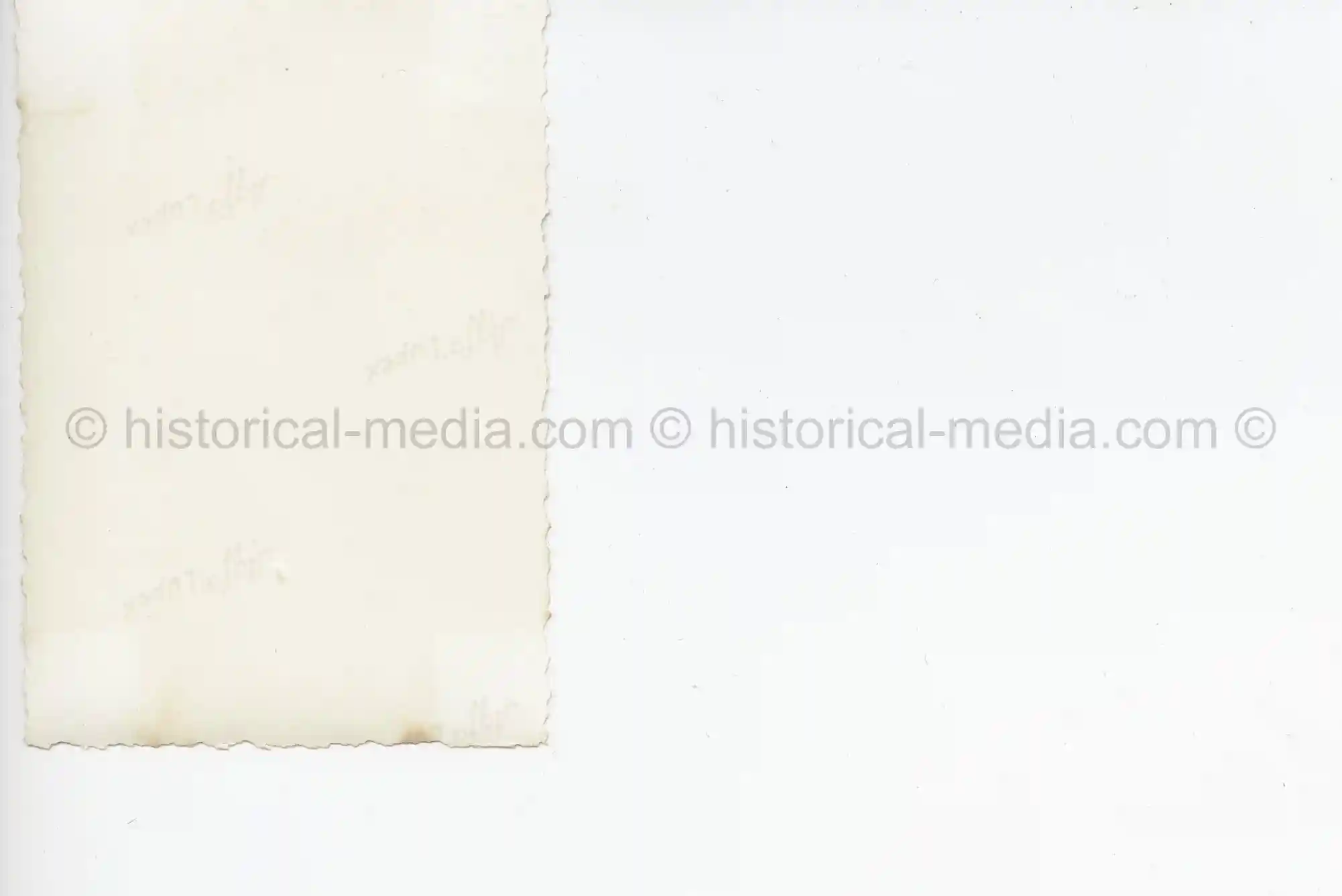 ALLGENMEINE SS PHOTO - SOLDIER POSES IN FIELD