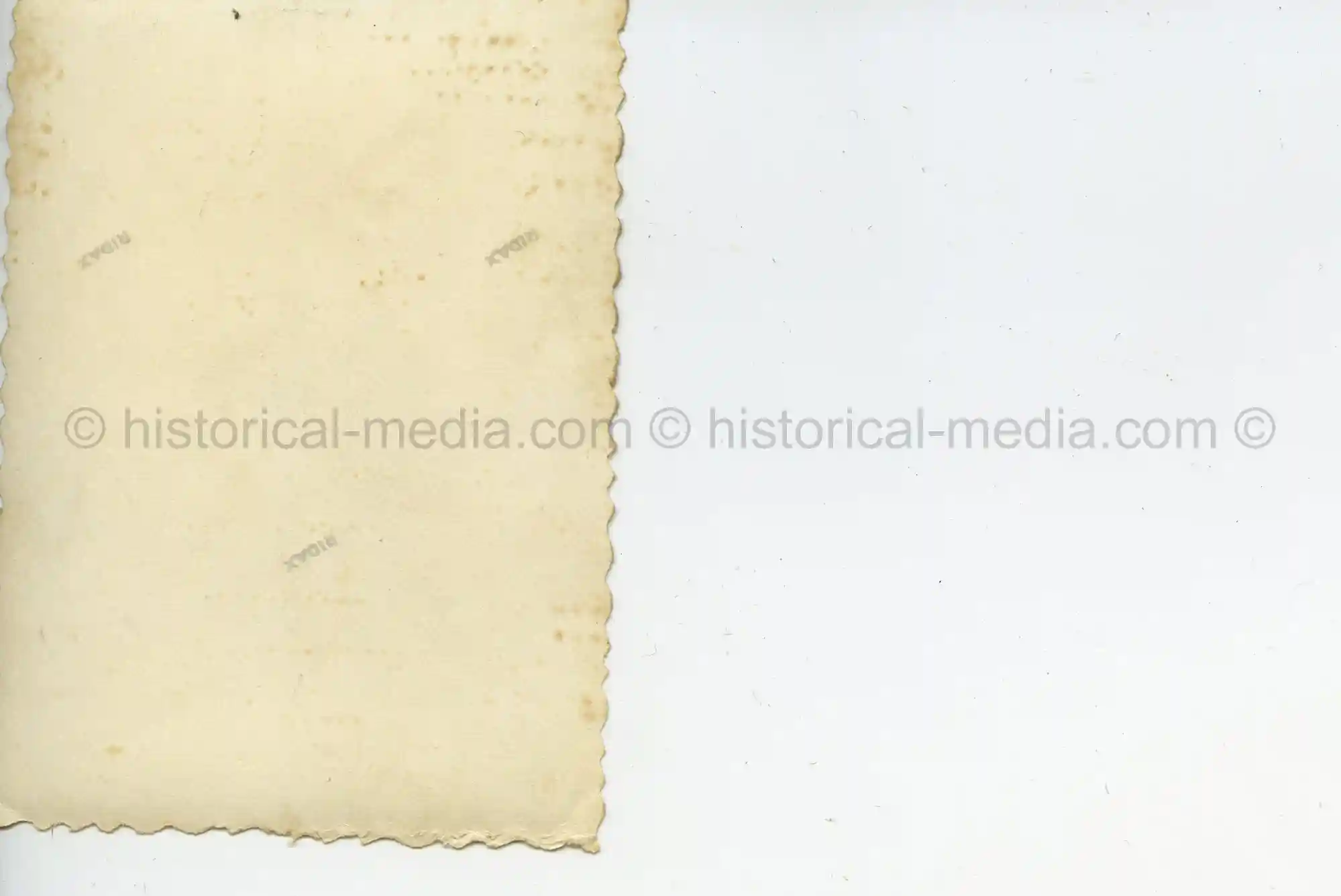 WAFFEN-SS PHOTO -  WIKING SOLDIERS WEARING CAMO FIELD CAP M42 TARNMÜTZE