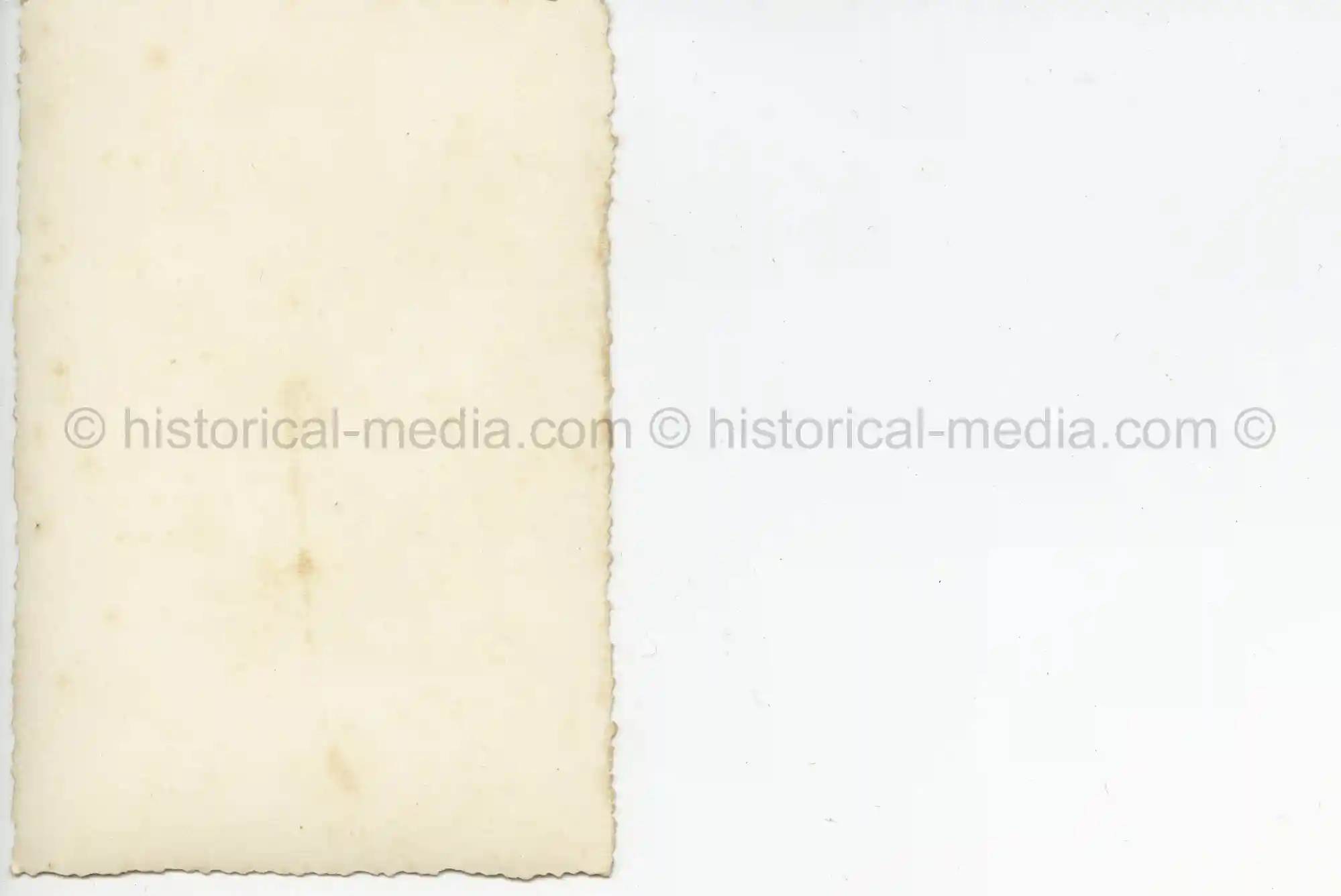 4X WAFFEN-SS PHOTOS - WIKING SOLDIERS POSE ON STAIRS