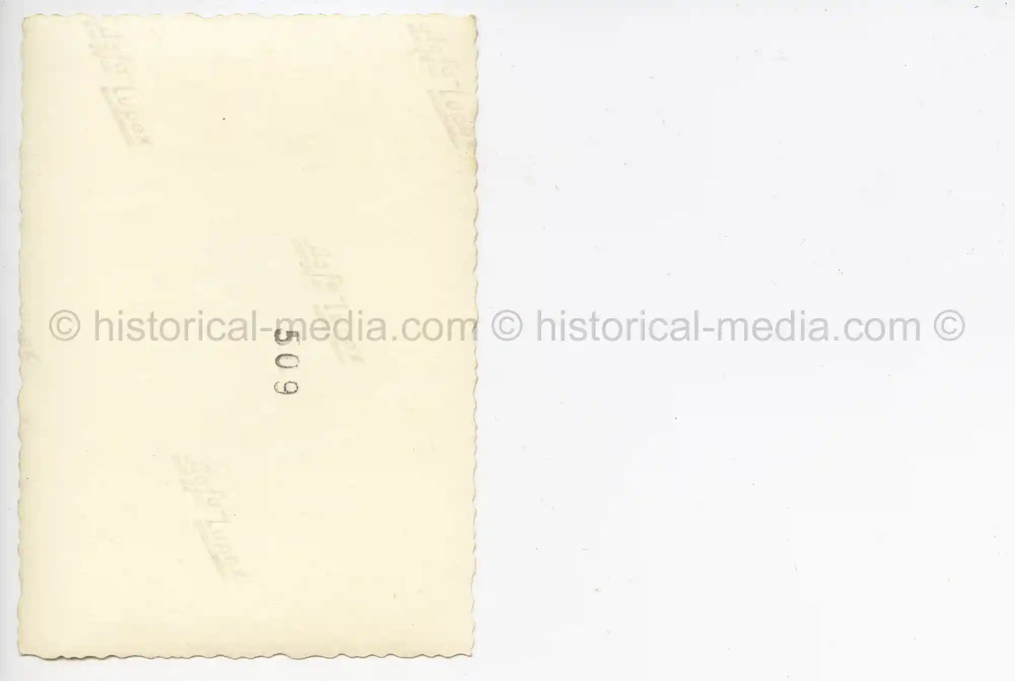 WAFFEN-SS PHOTO - WIKING SOLDIER WEARING CAMO FIELD CAP M42 TARNMÜTZE