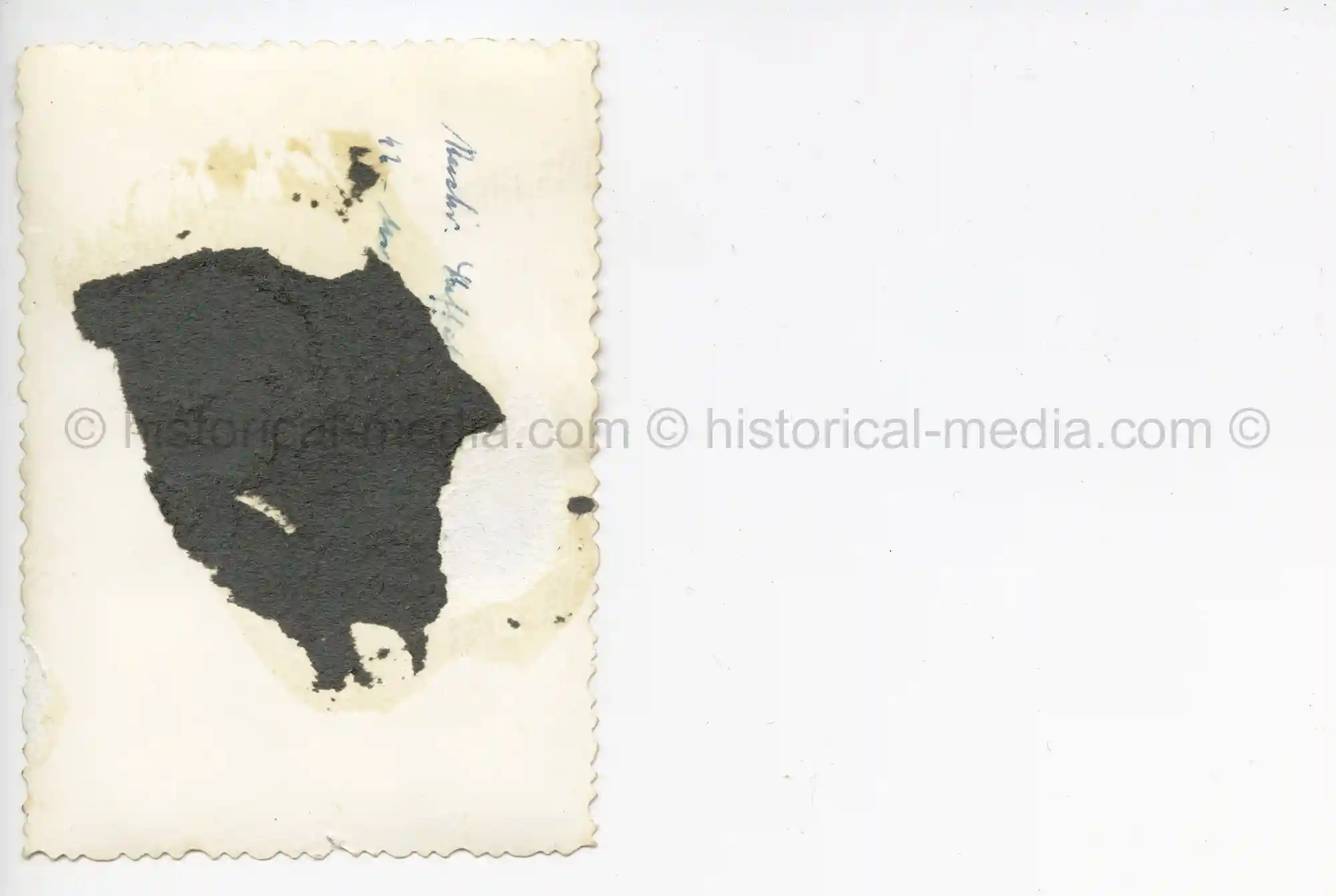 WAFFEN-SS PHOTO - WIKING SOLDIER WEARING CAMO FIELD CAP M42 TARNMÜTZE + TROPICAL SHIRT