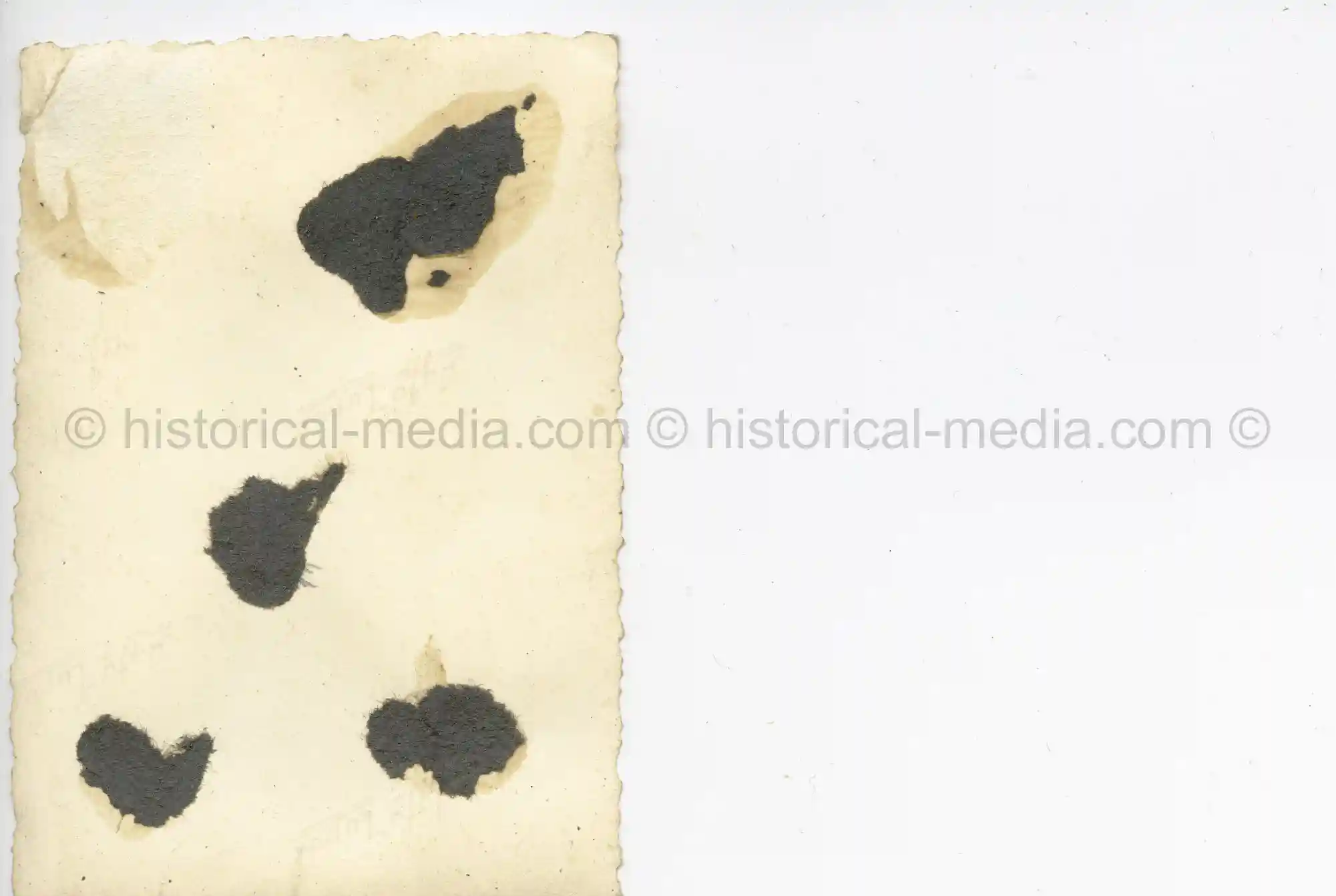 WAFFEN-SS PHOTO - WIKING SOLDIERS WEARING CAMO FIELD CAP M42 TARNMÜTZE