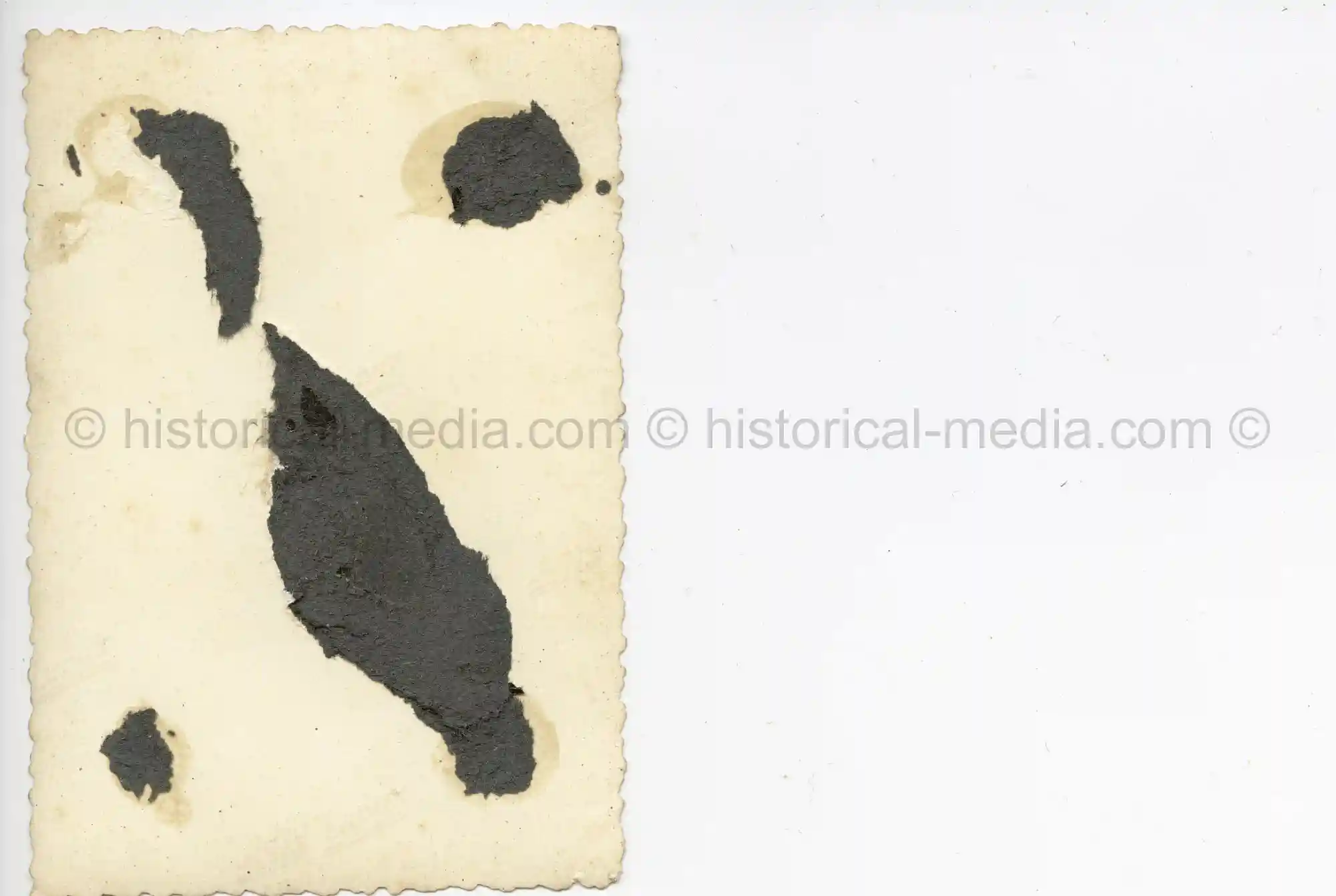 WAFFEN-SS PHOTO - WIKING ARTILLERIE SOLDIER POSES BY WIKING UNIT SIGN