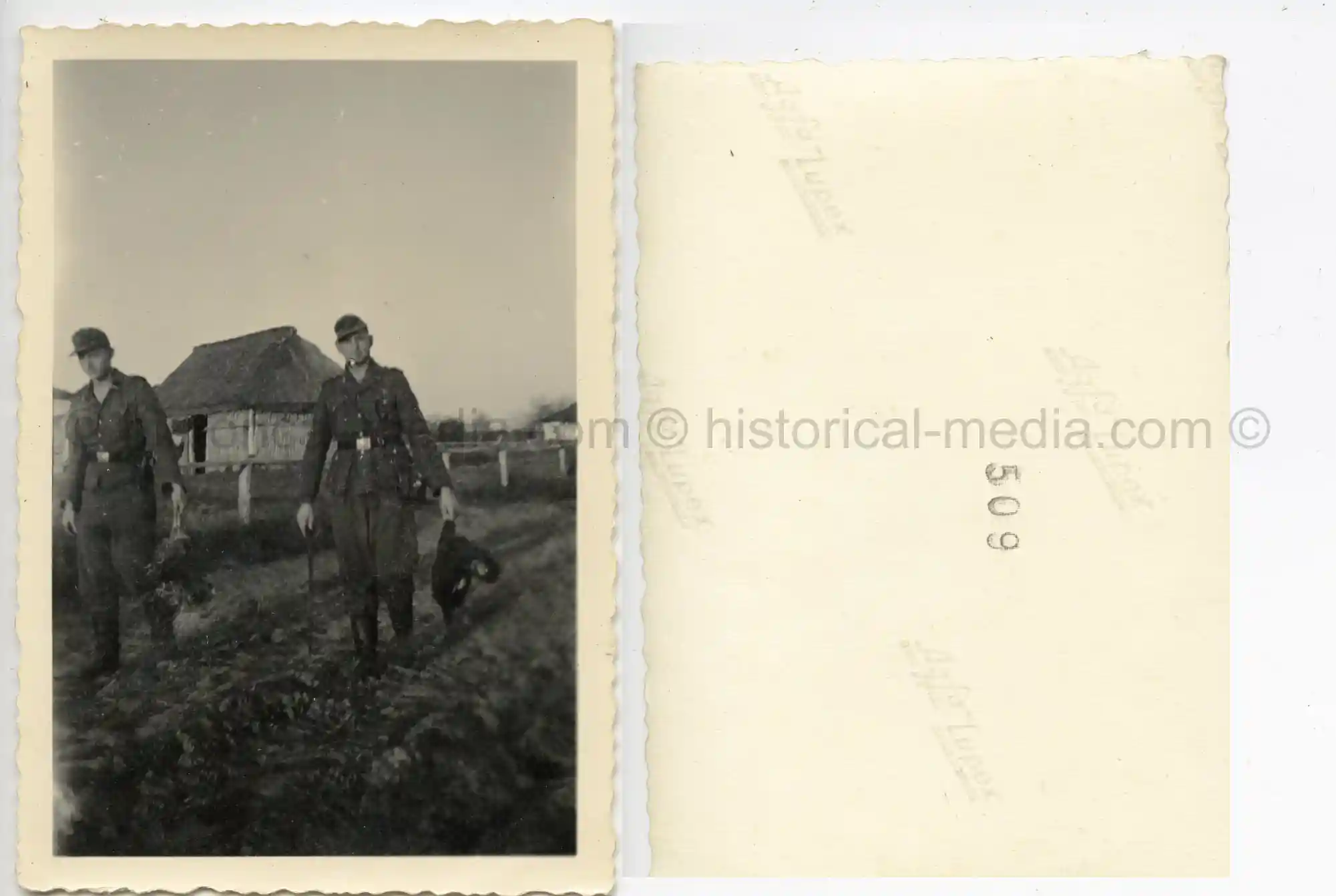 WAFFEN-SS PHOTO - WIKING SOLDIERS WEARING CAMO FIELD CAP M42 TARNMÜTZE