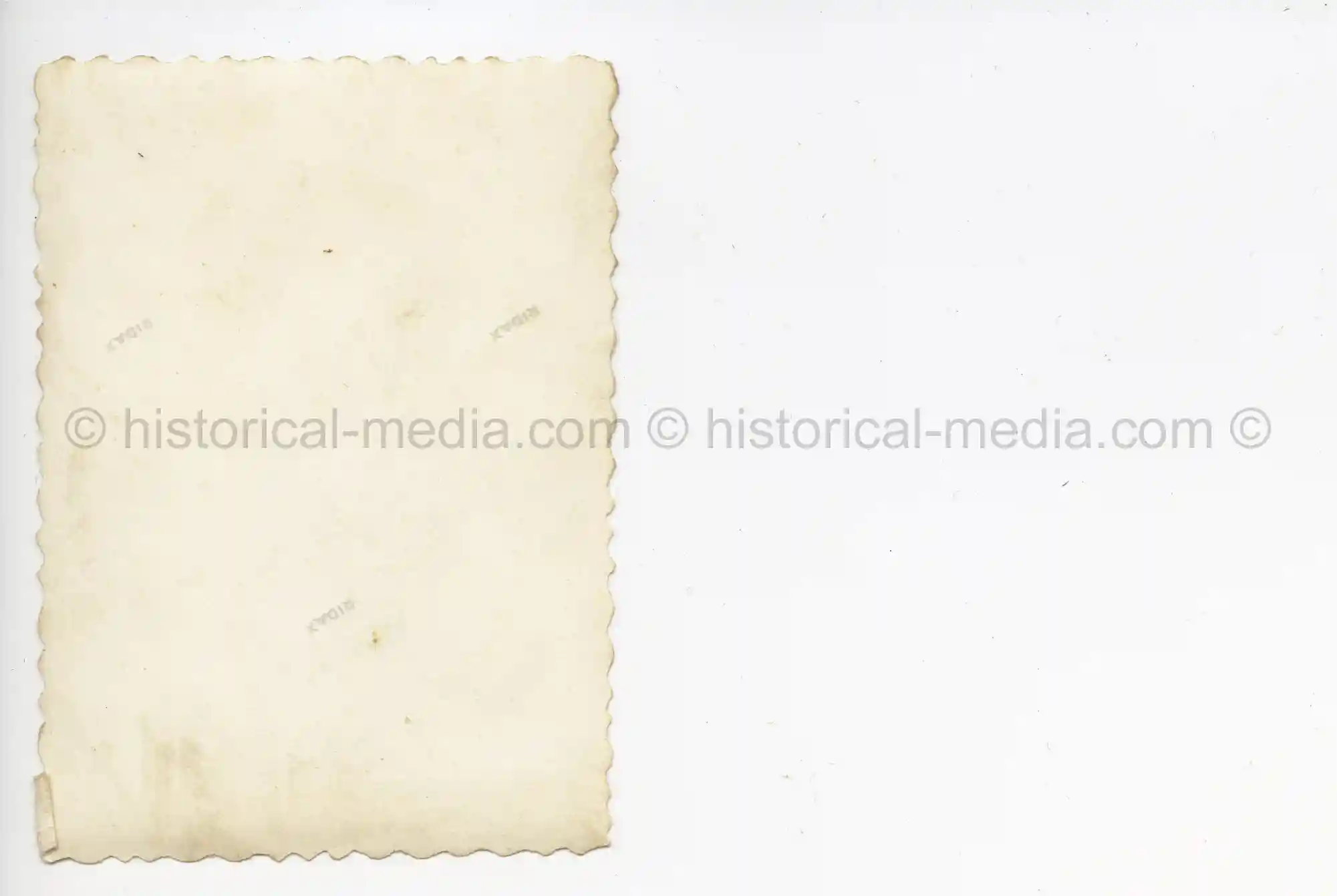 WAFFEN-SS PHOTO - WIKING SOLDIERS WEARING CAMO FIELD CAP M42 TARNMÜTZE