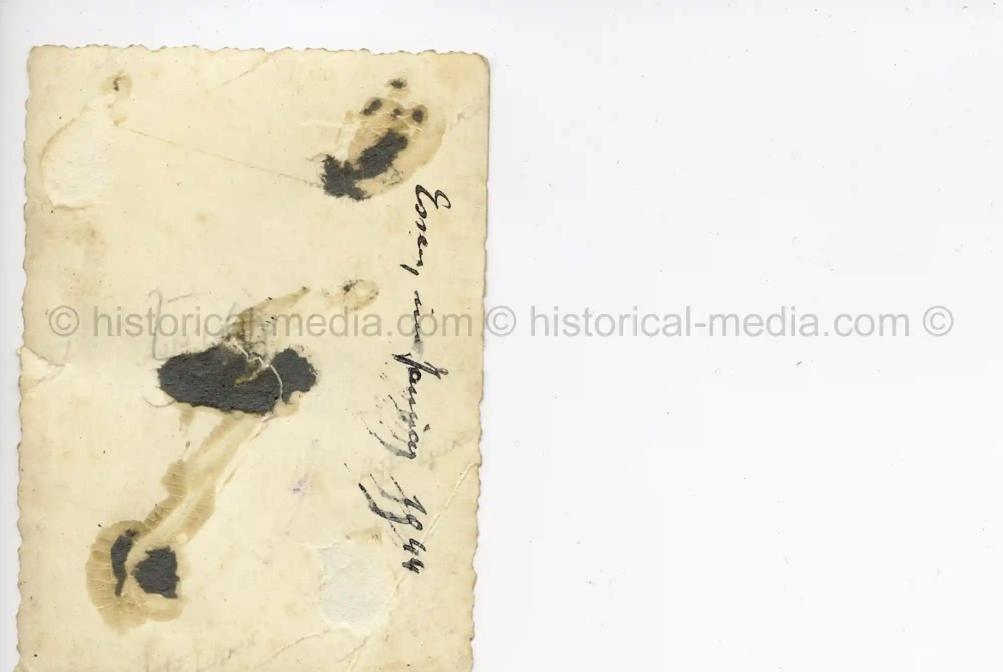 WAFFEN-SS PHOTO - WIKING SOLDIER + CUFFTITLE - 1944