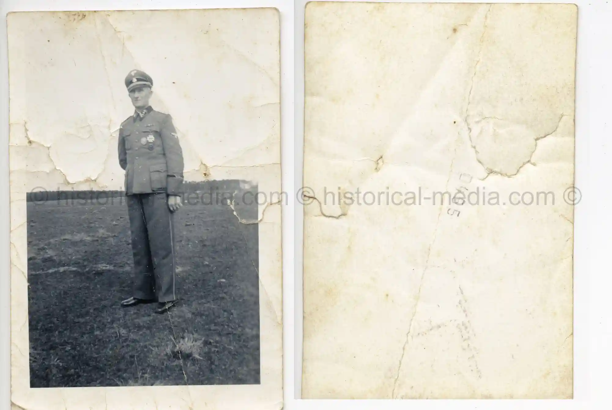 WAFFEN-SS PHOTO - WIKING ARTILLERIE OFFICER POSES IN FIELD + MEDALS & CUFFTITLE
