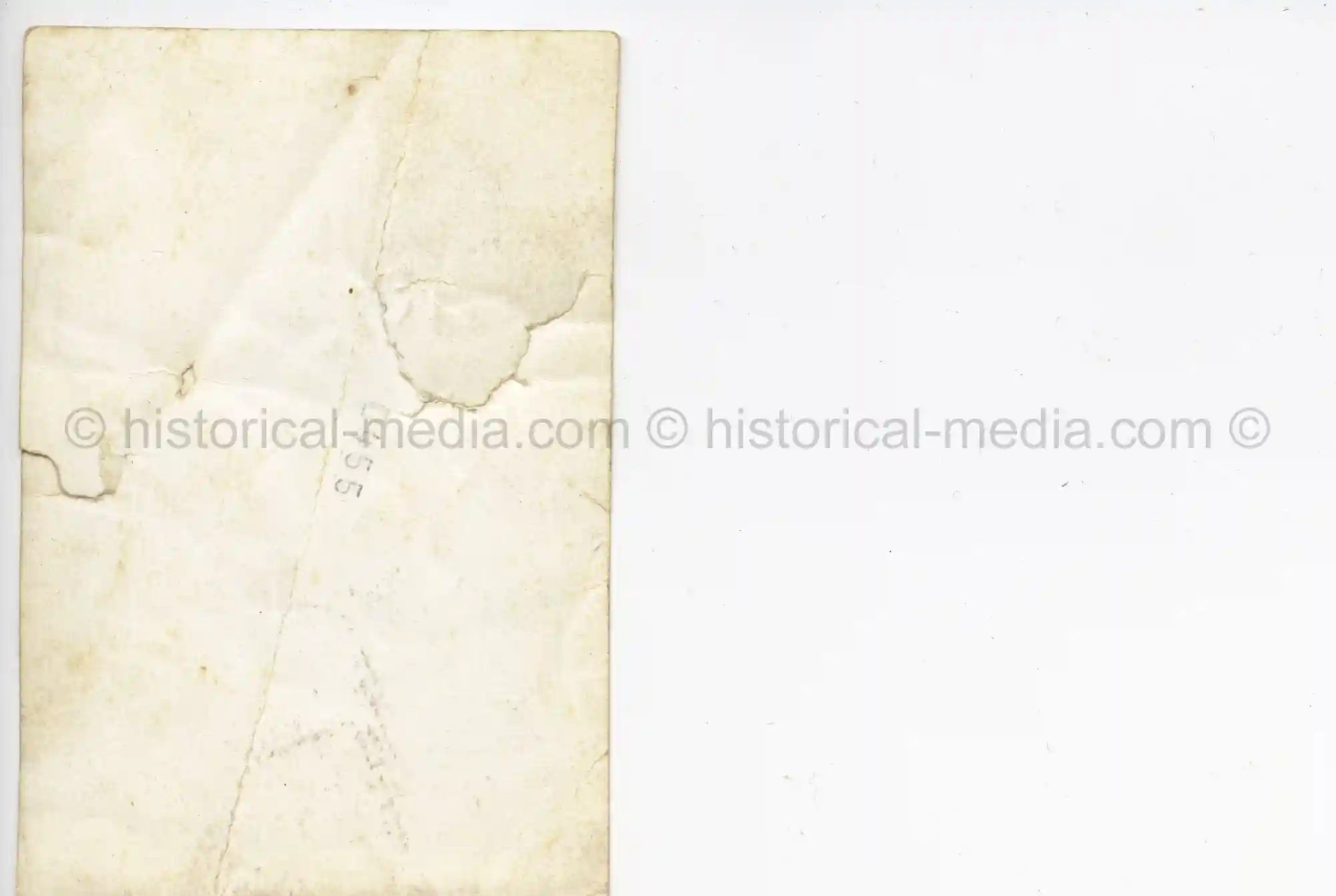 WAFFEN-SS PHOTO - WIKING ARTILLERIE OFFICER POSES IN FIELD + MEDALS & CUFFTITLE