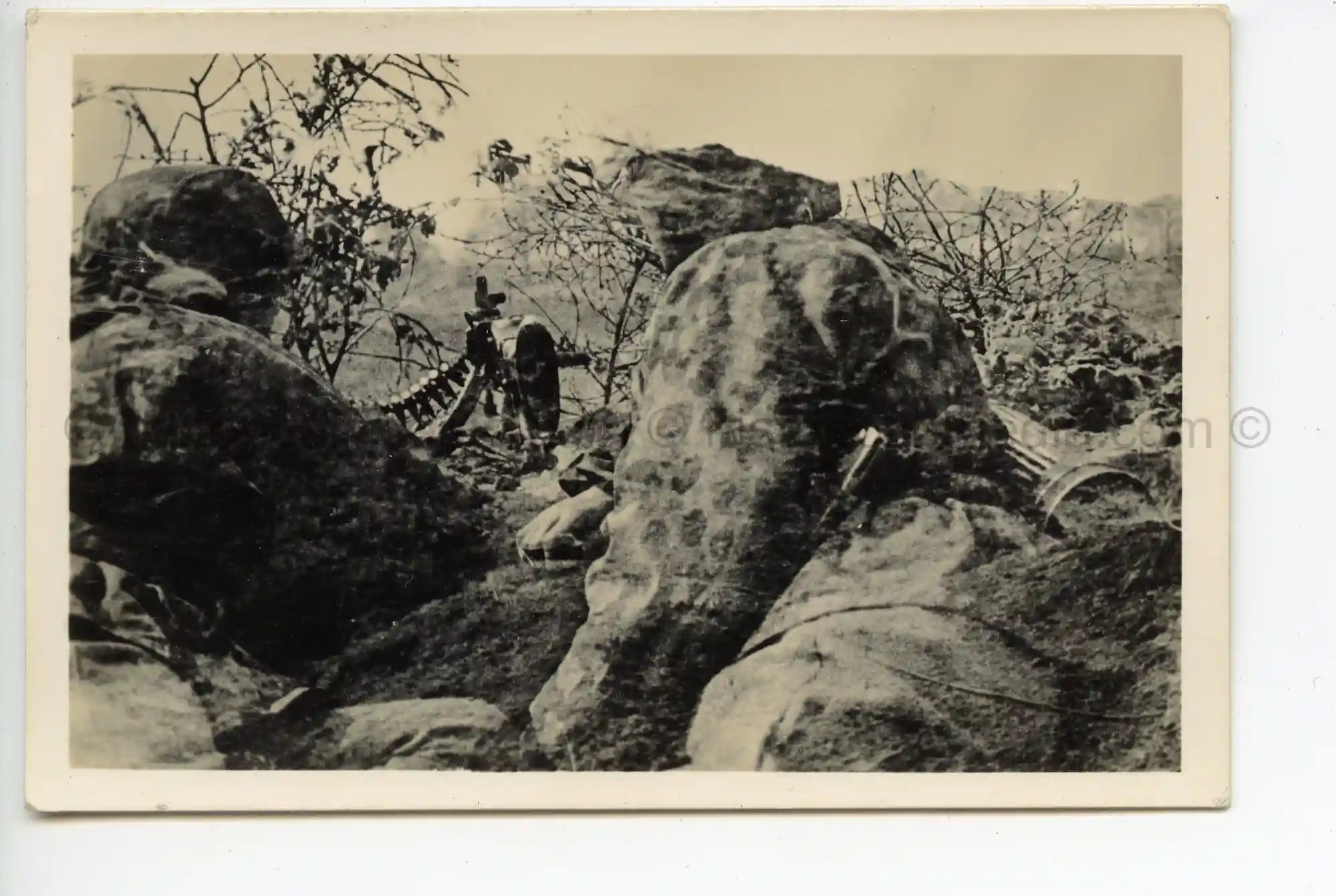 WAFFEN-SS PHOTO - WIKING MG34 SOLDIERS WEARING CAMO SMOCKS & CAMO HEAD COVERING