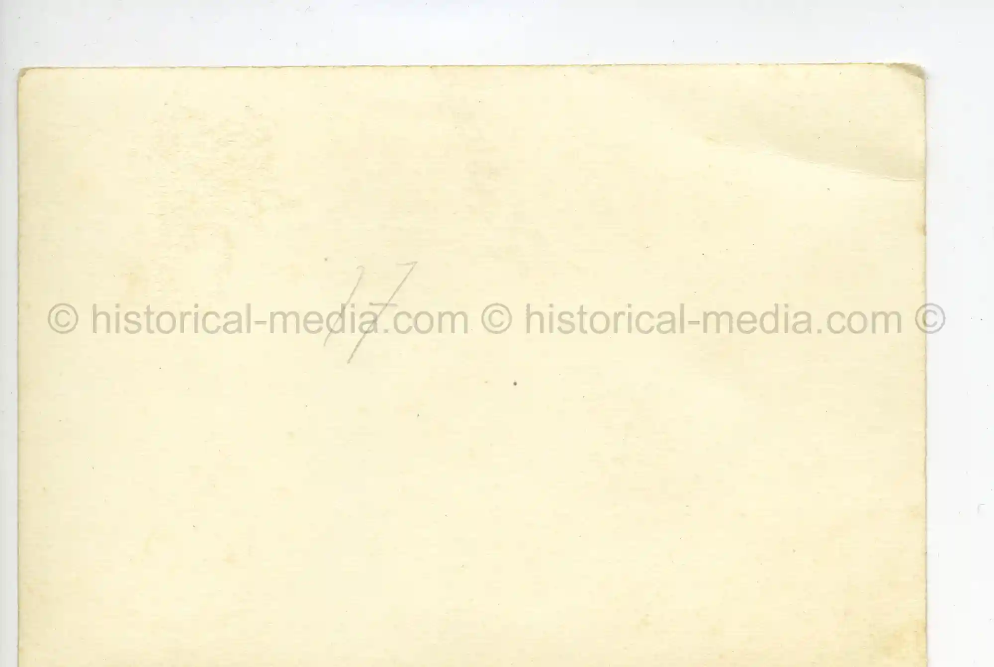 WAFFEN-SS PHOTO - WIKING SOLDIERS ON PARADE