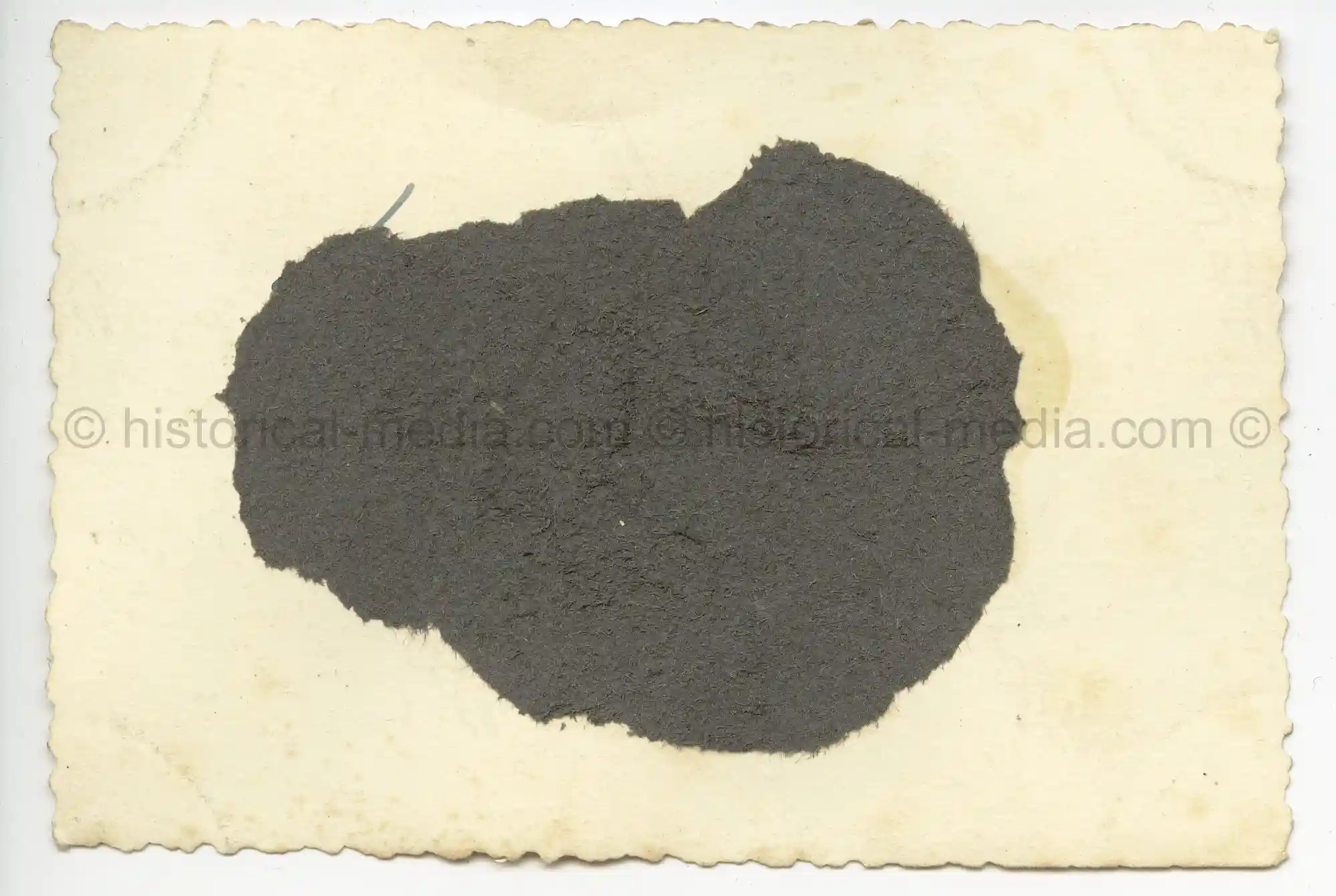 WAFFEN-SS PHOTO - WIKING SOLDIERS & VEHICLES IN RUSSIA + CAMO SMOCKS