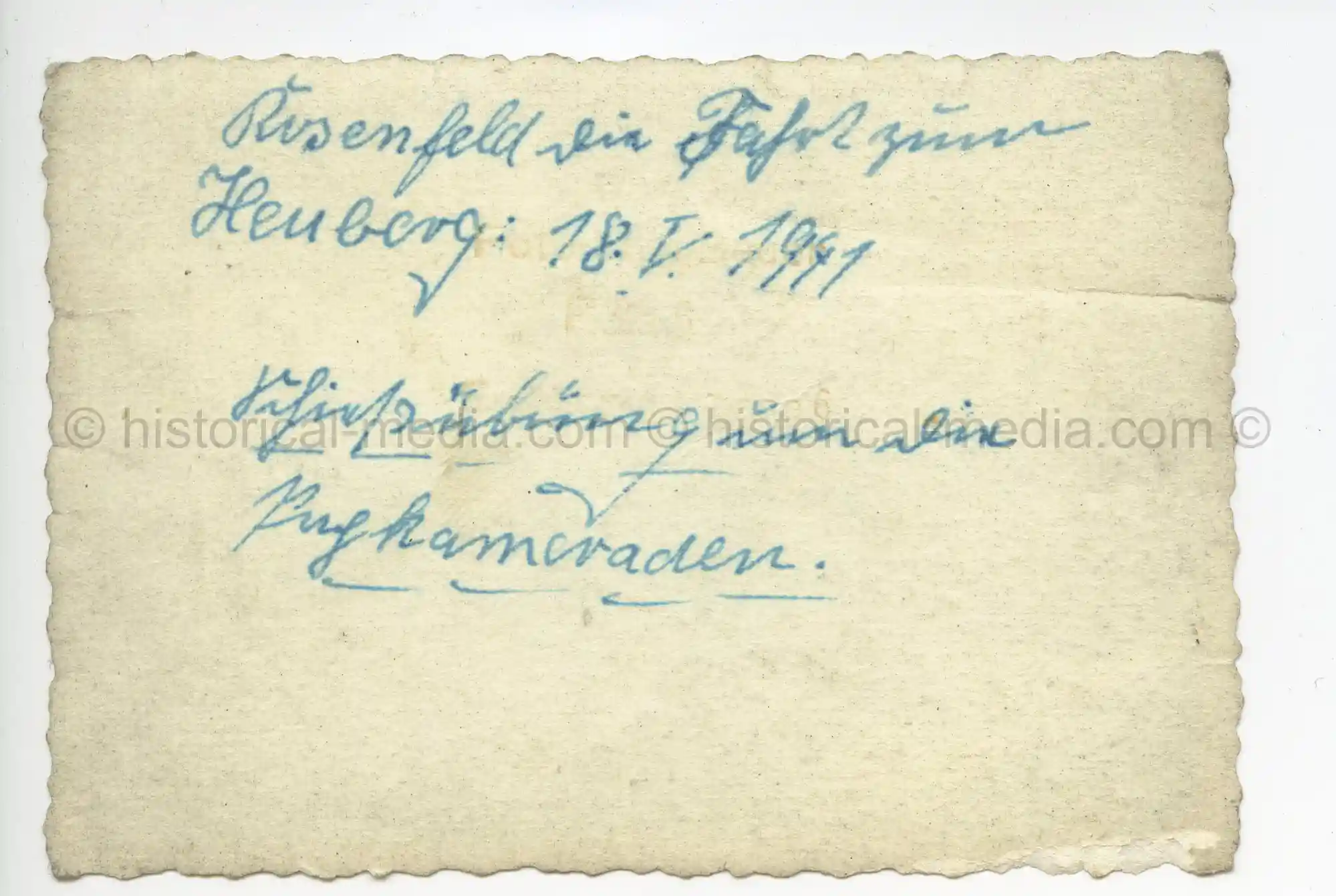 WAFFEN-SS PHOTO - WIKING SOLDIERS IN CAMO SMOCKS + LKW W/ WIKING EMBLEM