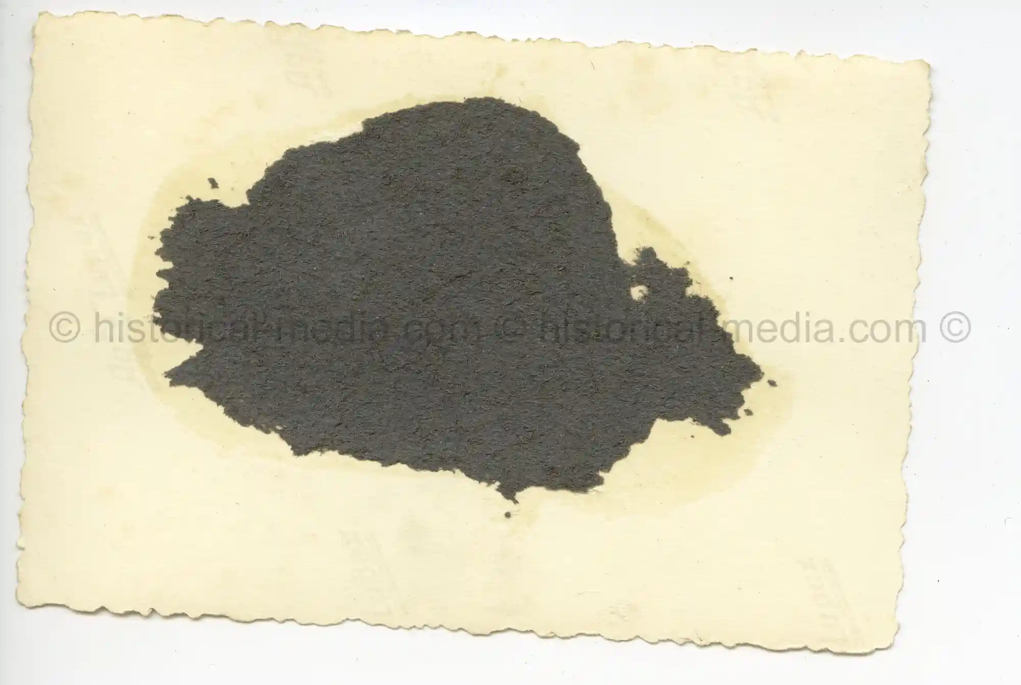 WAFFEN-SS PHOTO - WIKING SOLDIERS IN CAMO SMOCKS + LKW W/ WIKING EMBLEM