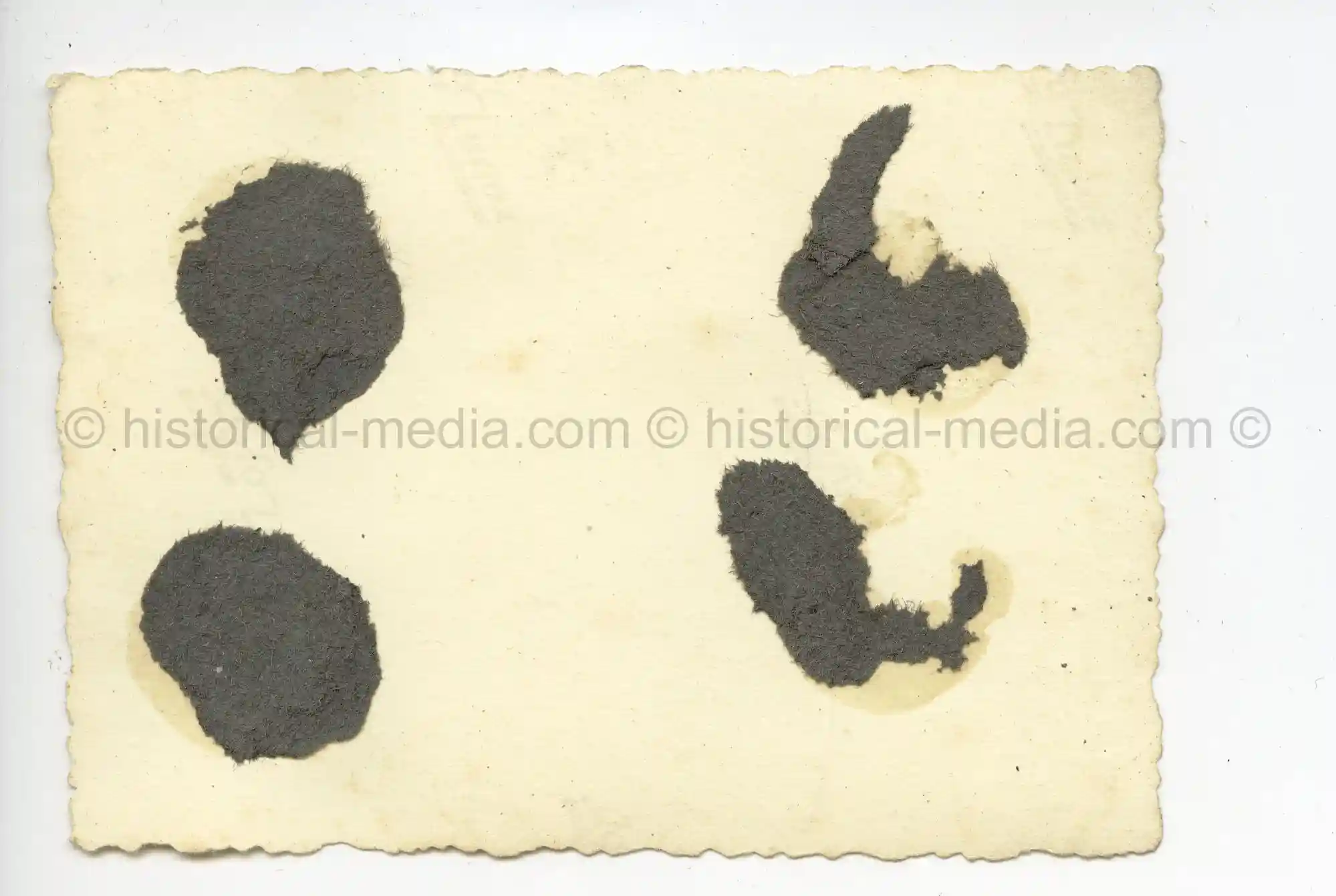 WAFFEN-SS PHOTO - WIKING SOLDIERS IN CAMO SMOCKS + LKW IN RUSSIA