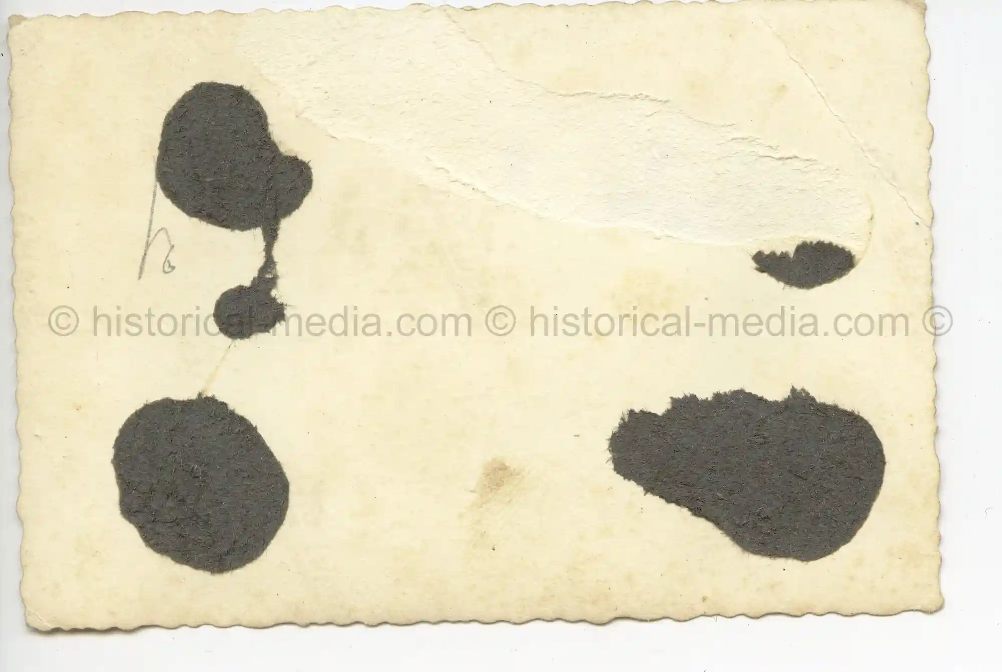 WAFFEN-SS PHOTO - WIKING SOLDIERS WEARING CAMO FIELD CAP M42 TARNMÜTZE & CAMO SMOCKS