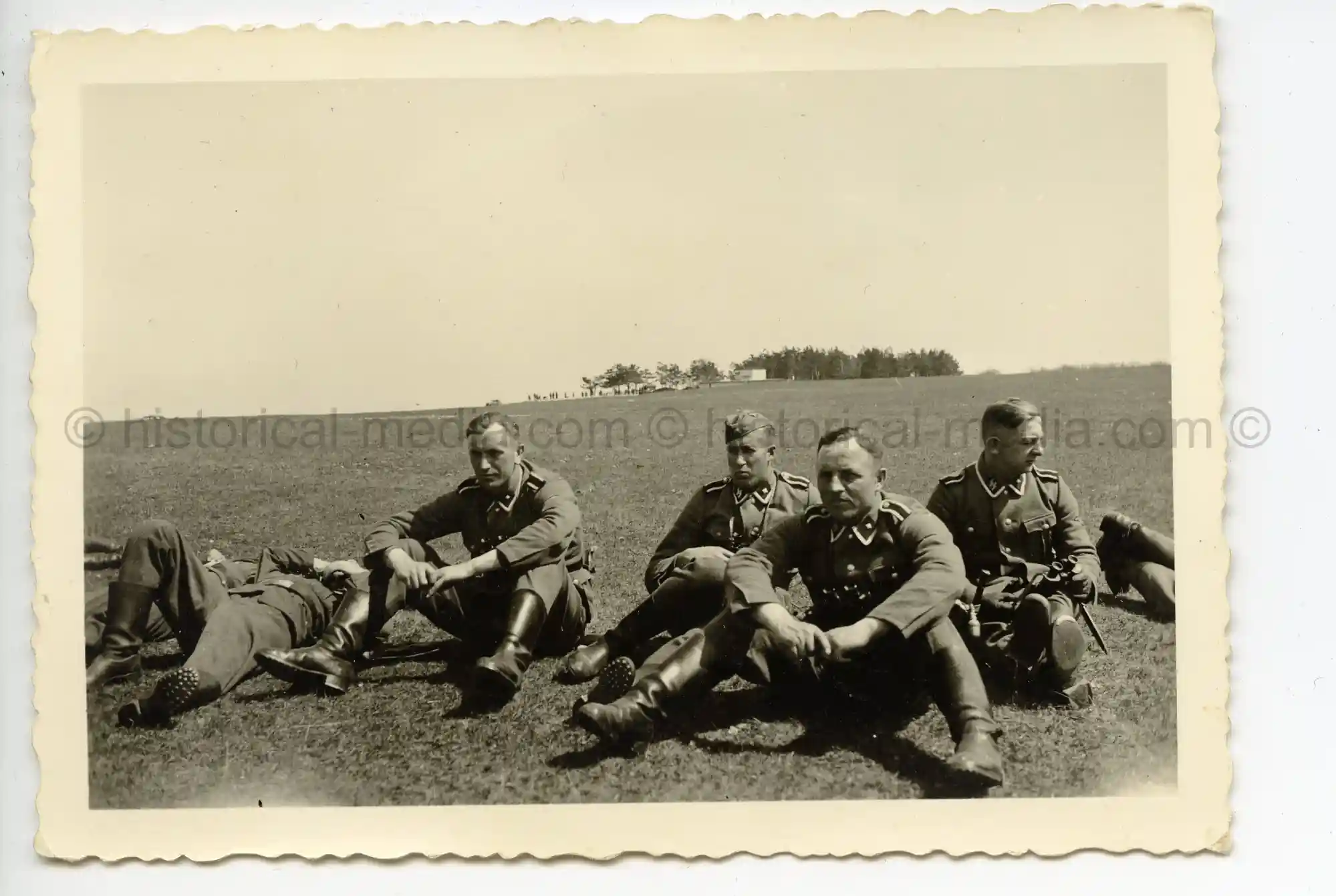 WAFFEN-SS PHOTO - WIKING SOLDIERS PAUSE IN THE FIELD - INSIGNIA
