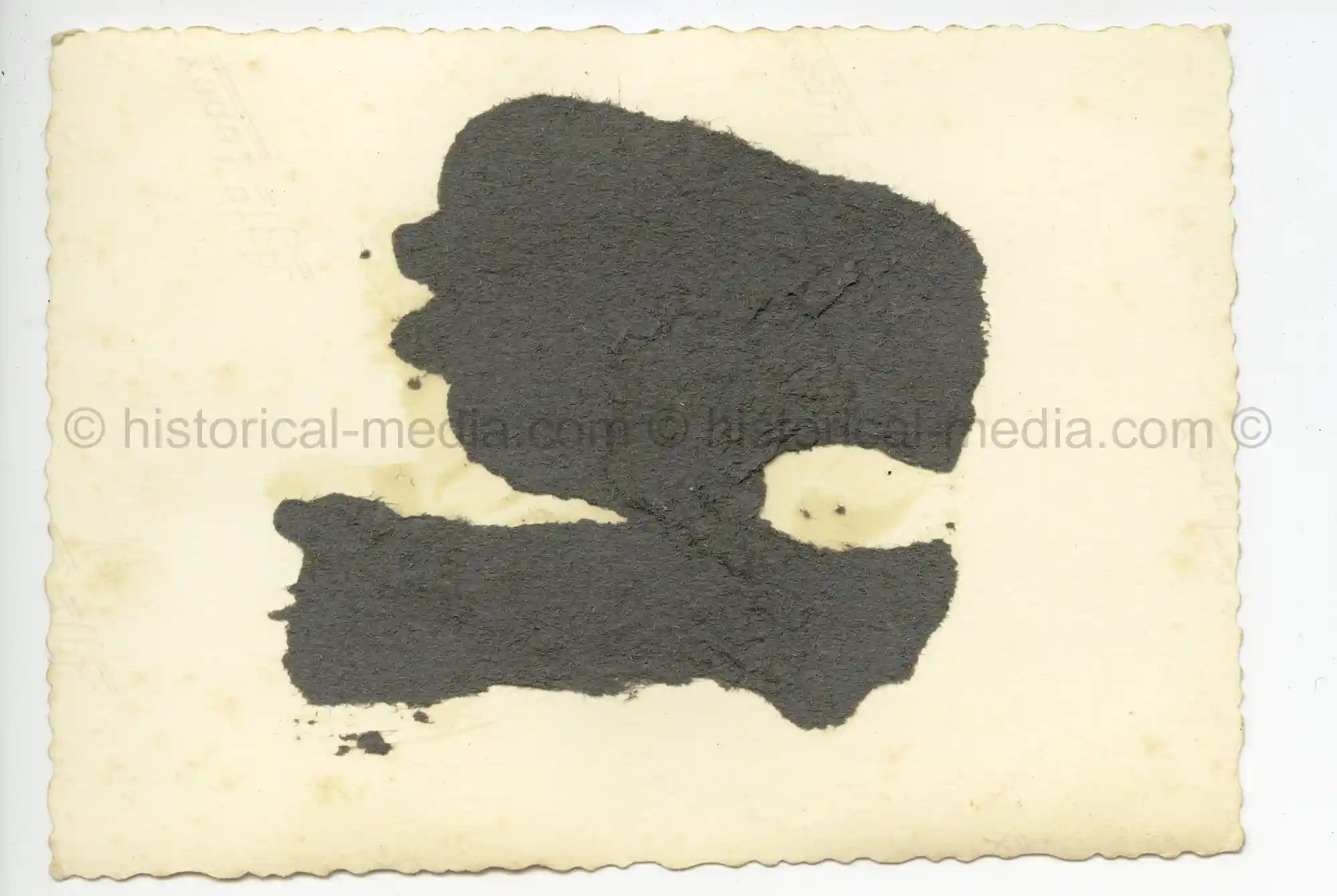 WAFFEN-SS PHOTO - WIKING SOLDIERS PAUSE IN THE FIELD - INSIGNIA