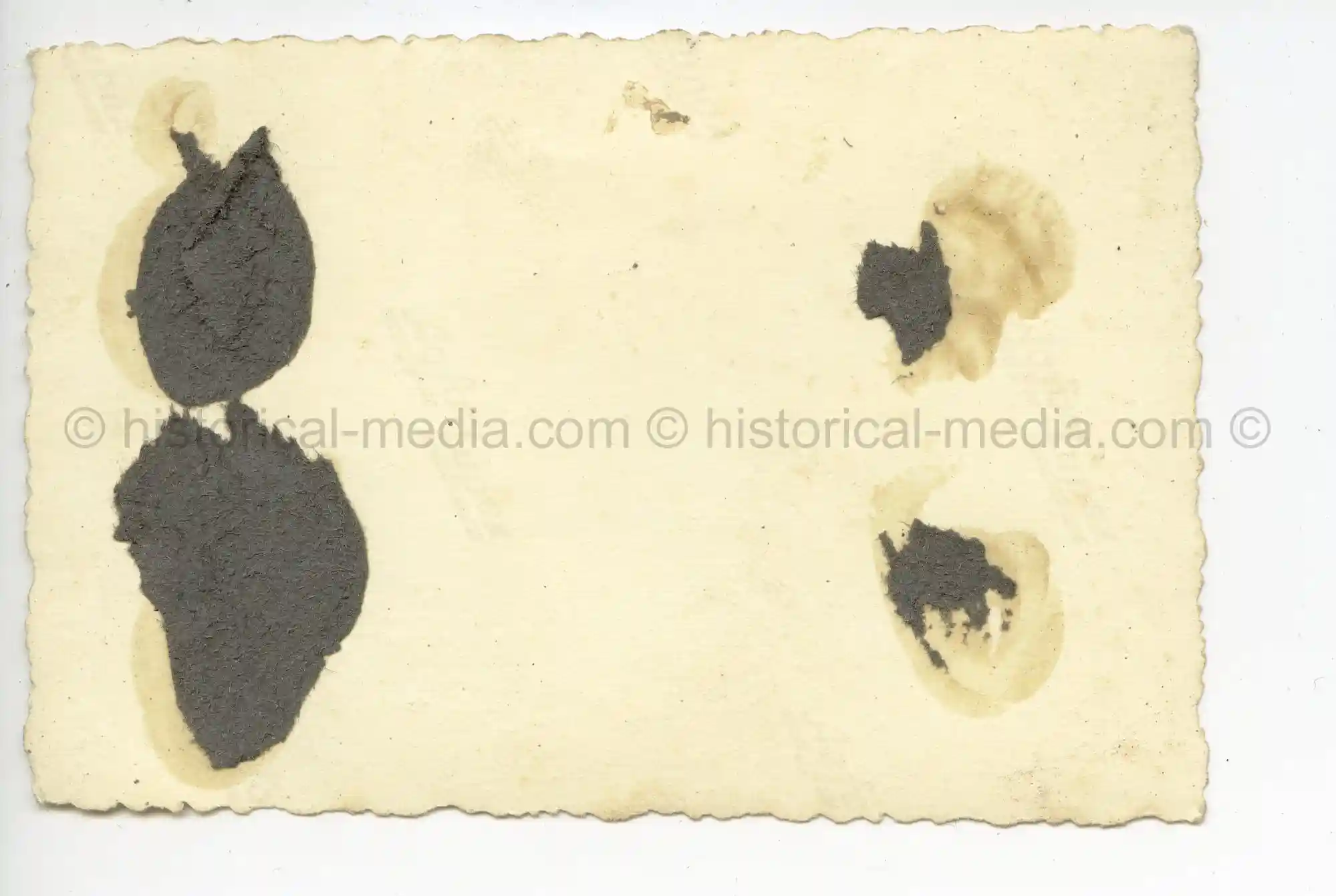 WAFFEN-SS PHOTO - WIKING SOLDIERS GET HAIR CUT IN FIELD + KRADS