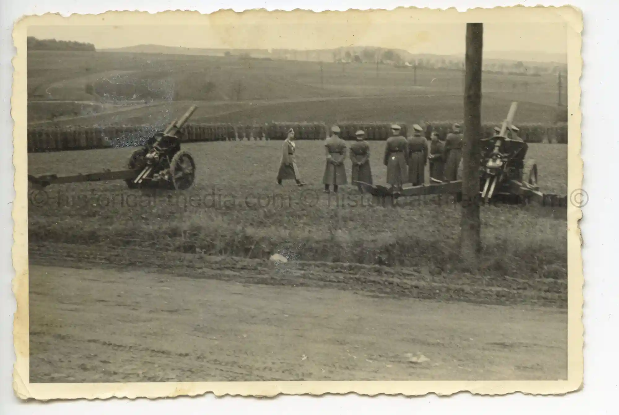 WAFFEN-SS PHOTO - WIKING ARTILLERIE UNIT INSPECTED IN FIELD