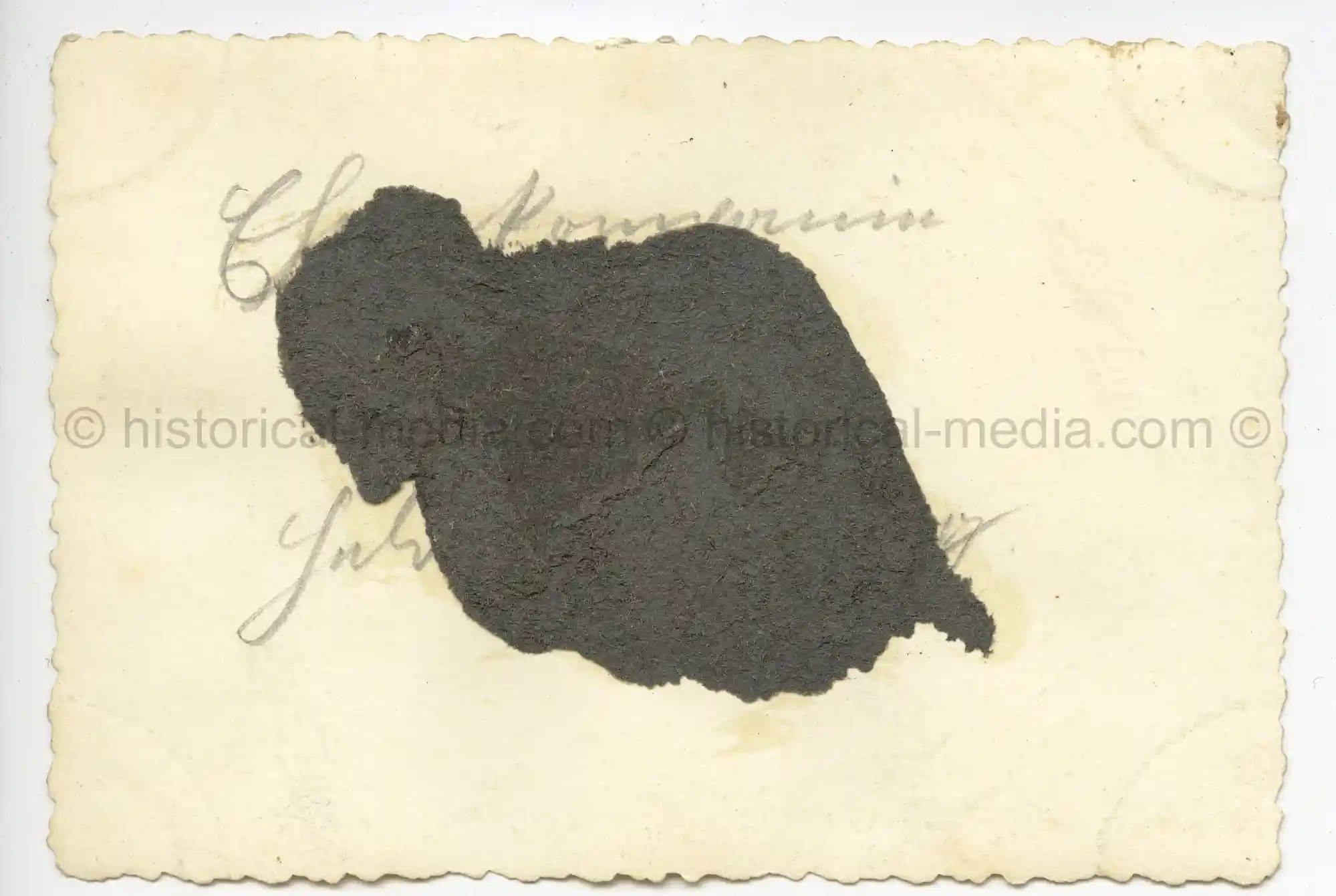 WAFFEN-SS PHOTO - WIKING SOLDIER FUNERAL PARADE