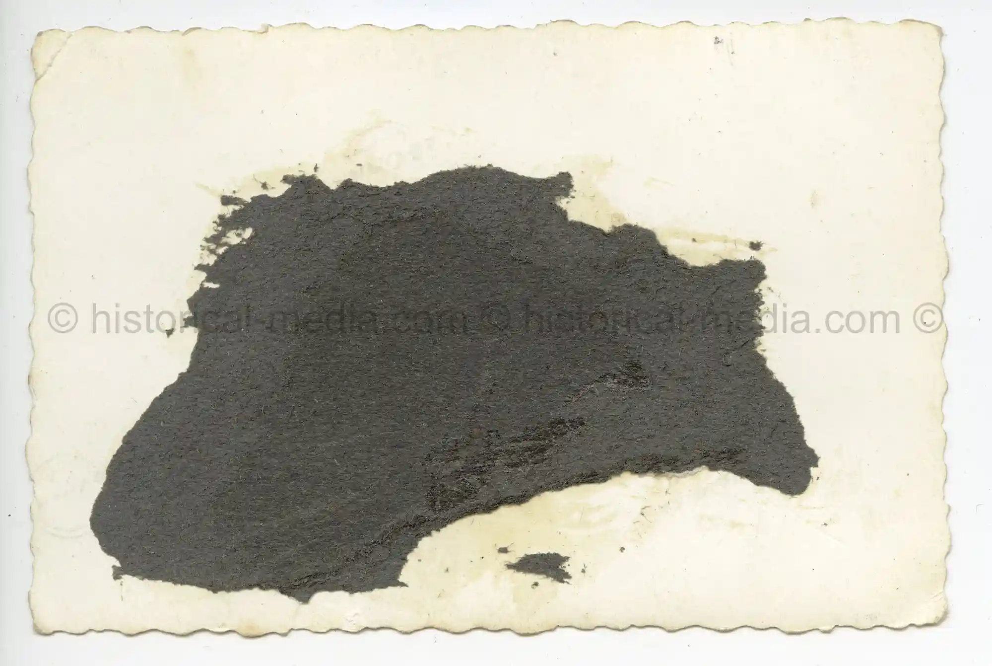 WAFFEN-SS PHOTO - WIKING INSIGNIA ON LKW CAR