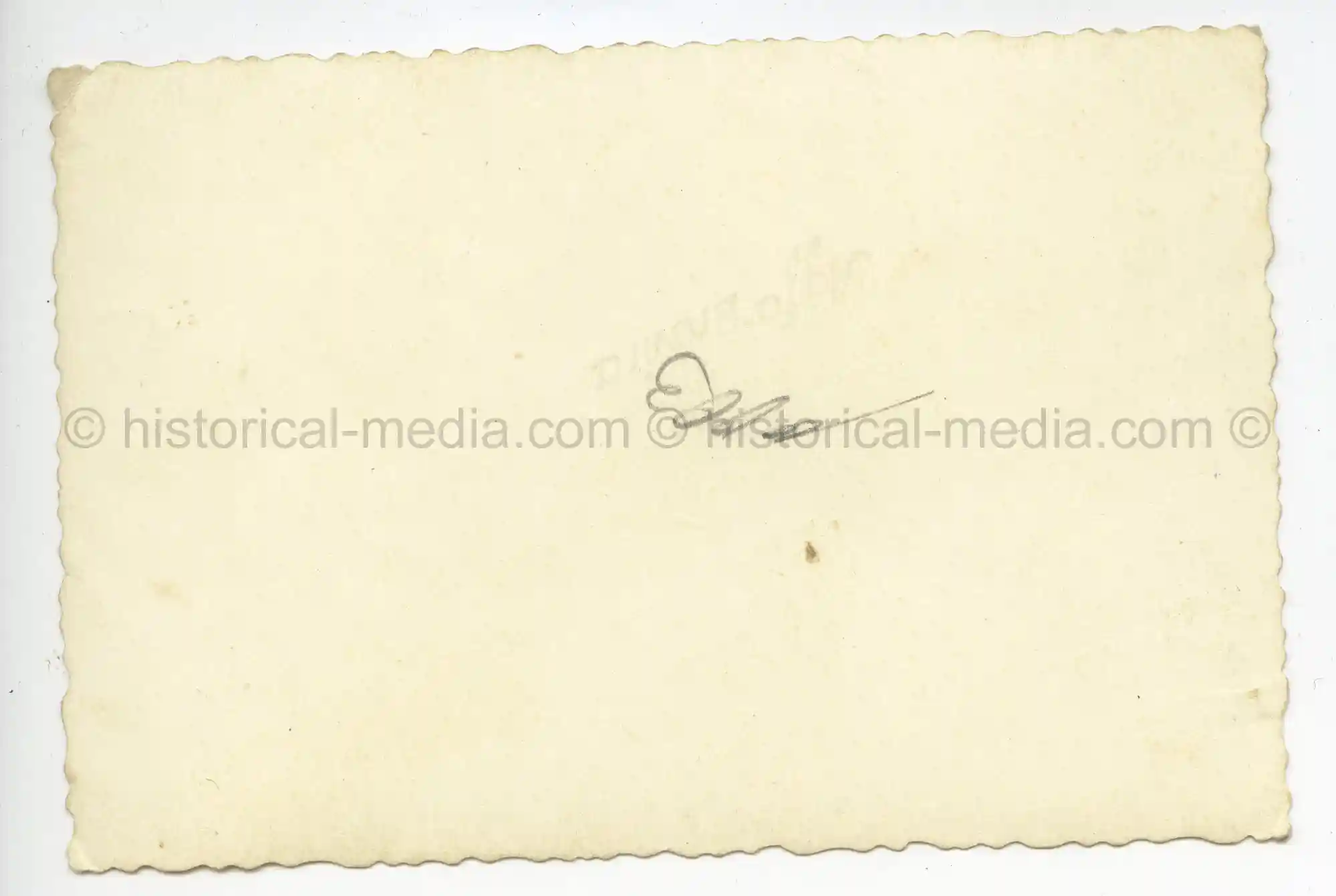 WAFFEN-SS PHOTO - WIKING ARTILLERIE UNIT IN CATION + CAMO SMOCKS