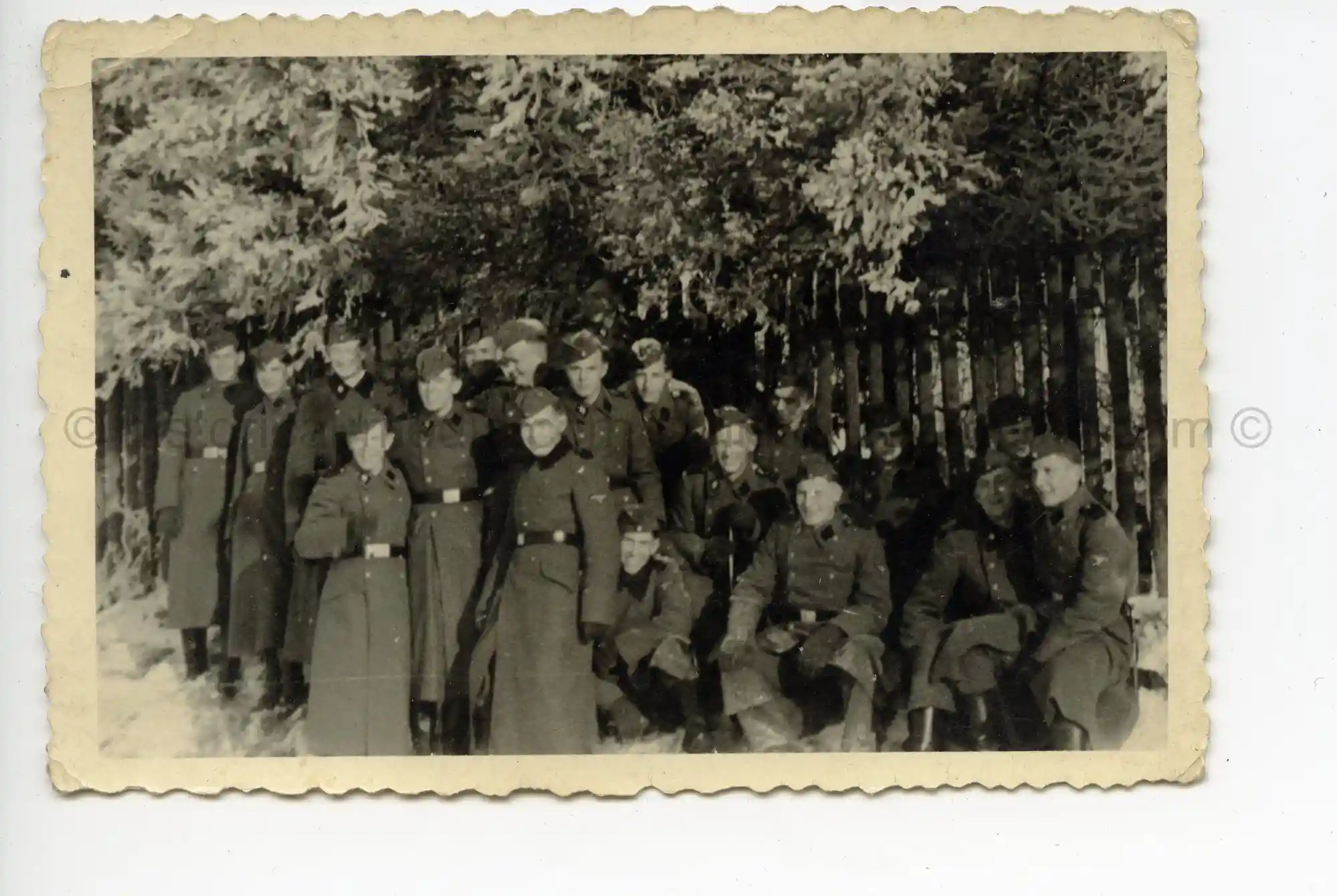 WAFFEN-SS PHOTO - WIKING GROUP PHOTO