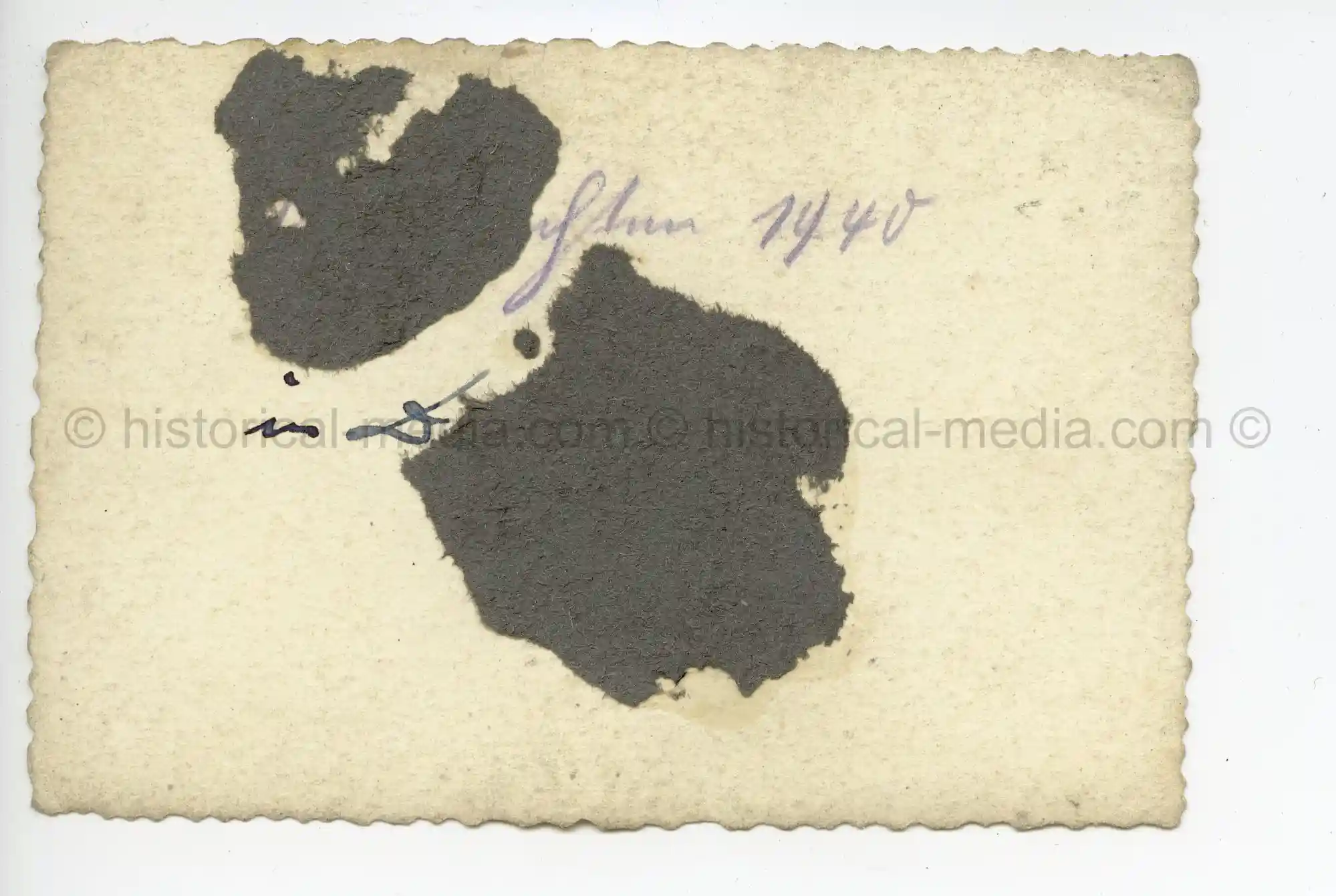 WAFFEN-SS PHOTO - WIKING GROUP PHOTO