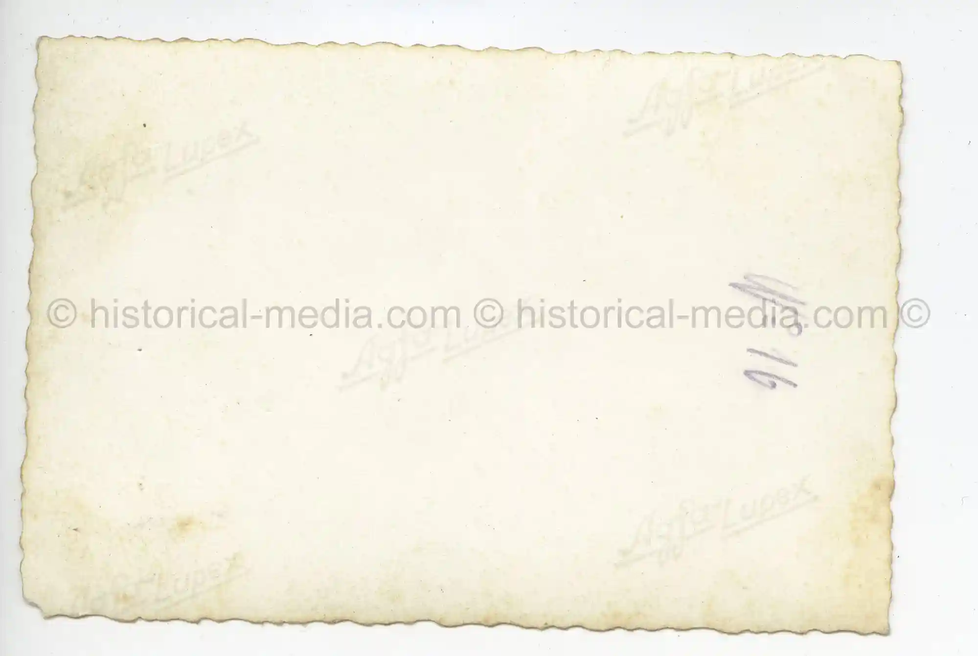 WAFFEN-SS PHOTO - WIKING HALFTRACK MAINTENANCE