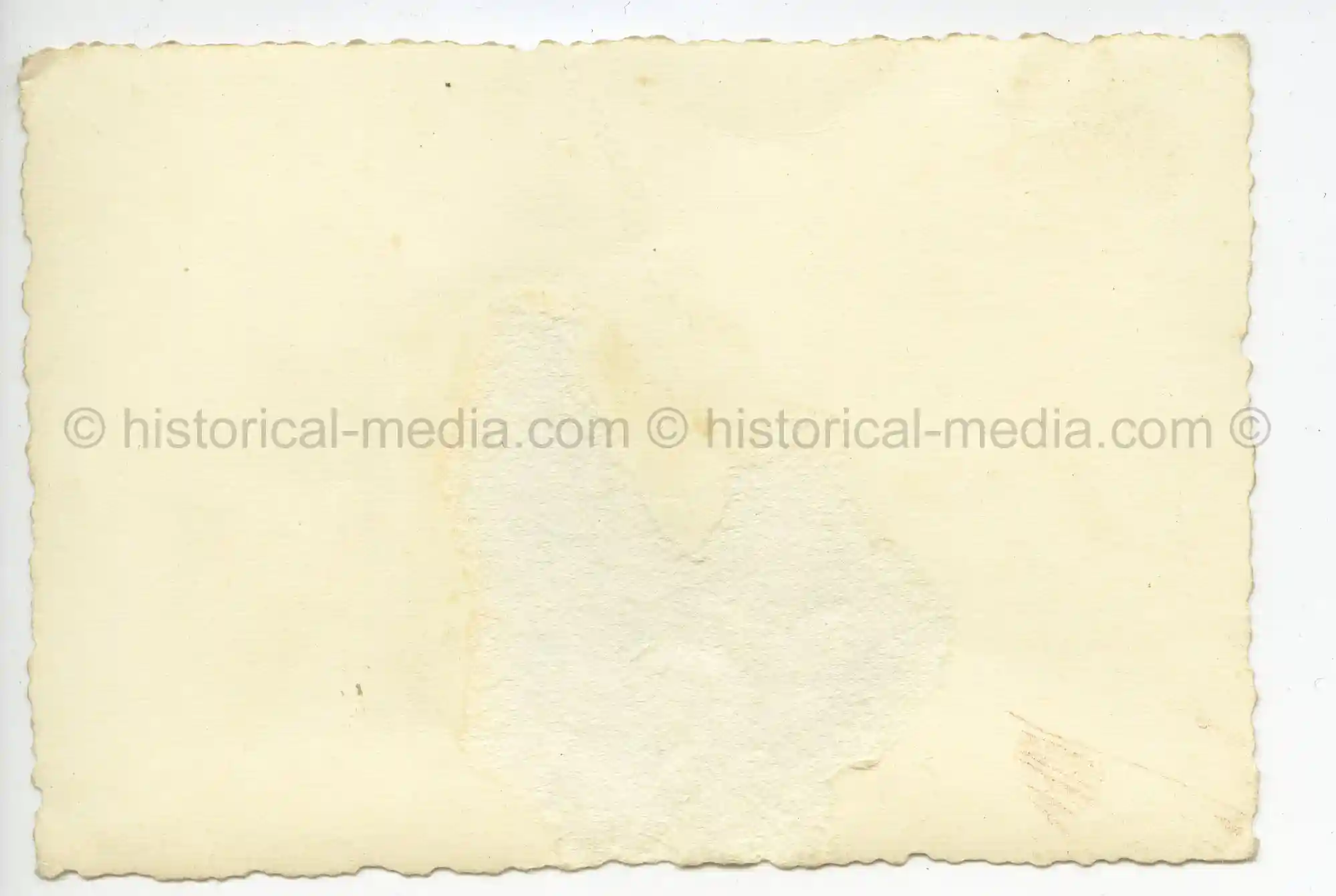 WAFFEN-SS PHOTO - WIKING OFFICERS & NCOS IN THE FIELD