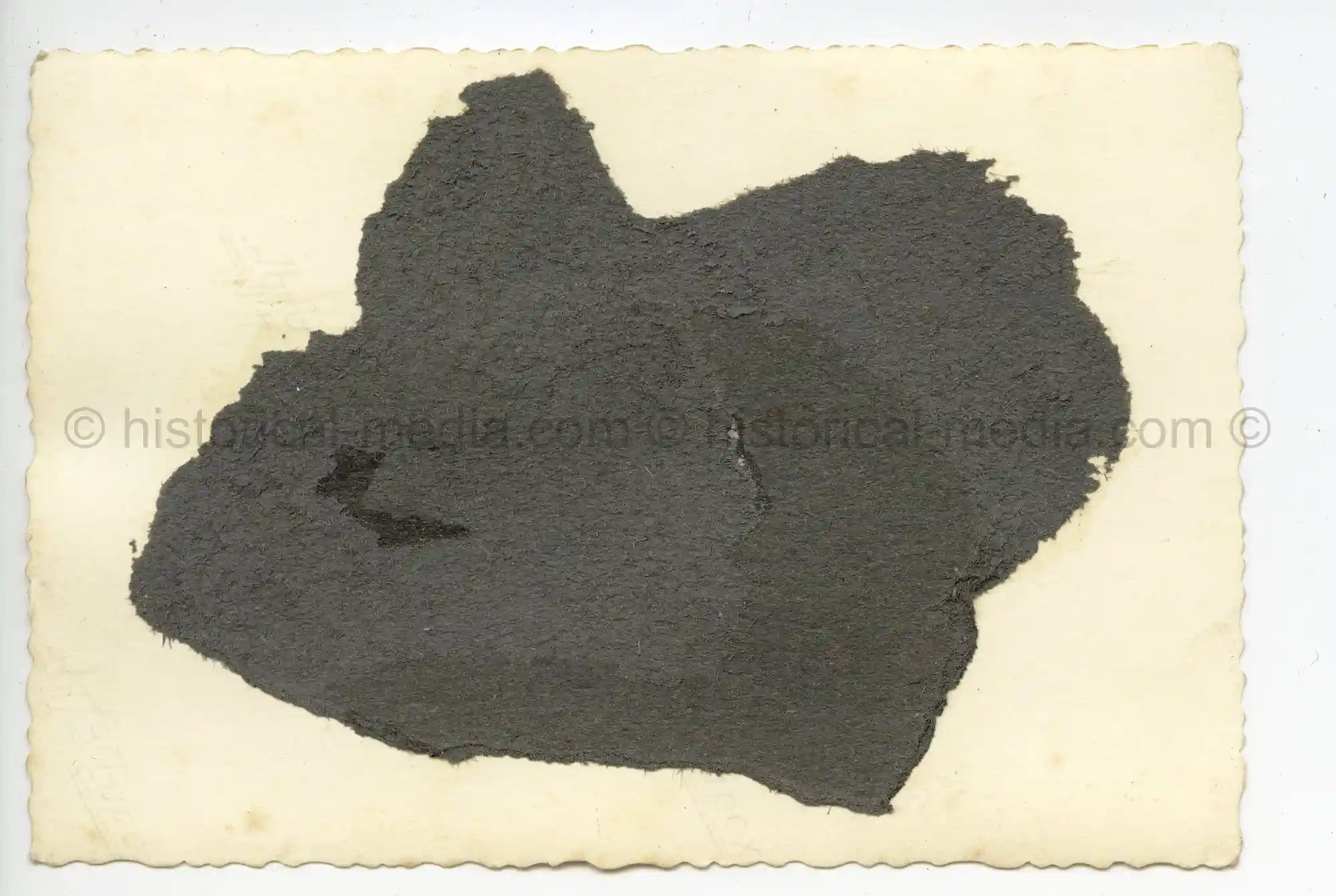 WAFFEN-SS PHOTO - WIKING SOLDIERS POSE W WOMEN AND GIRL