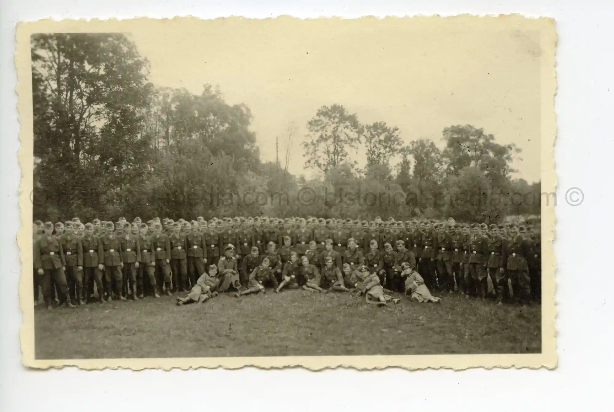 WAFFEN-SS PHOTO - WIKING GROUP PHOTO