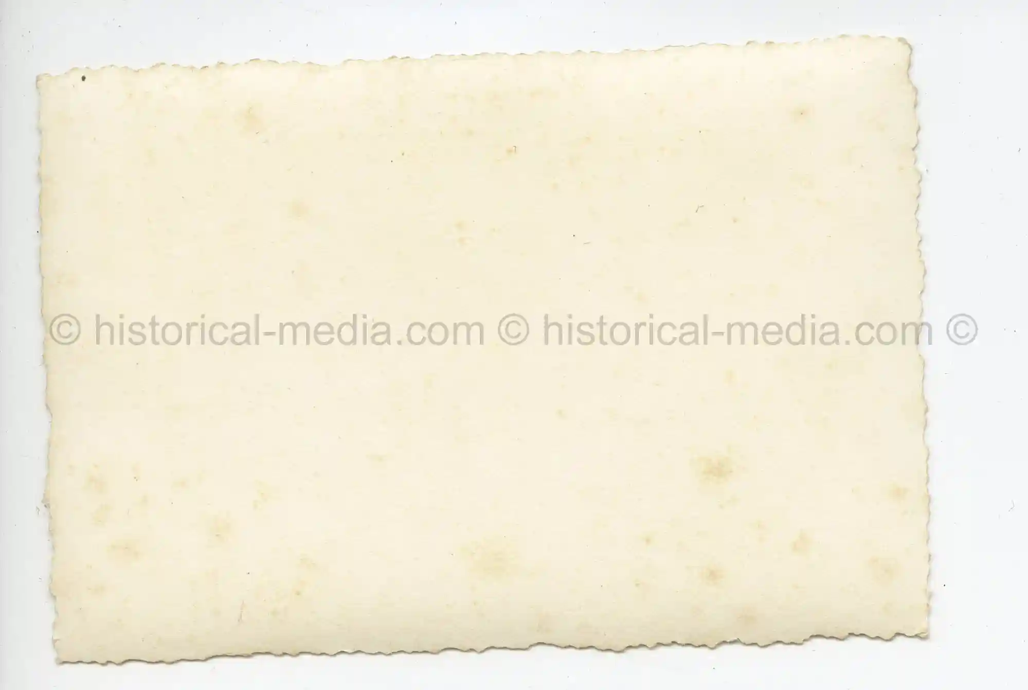 WAFFEN-SS PHOTO - WIKING GROUP PHOTO