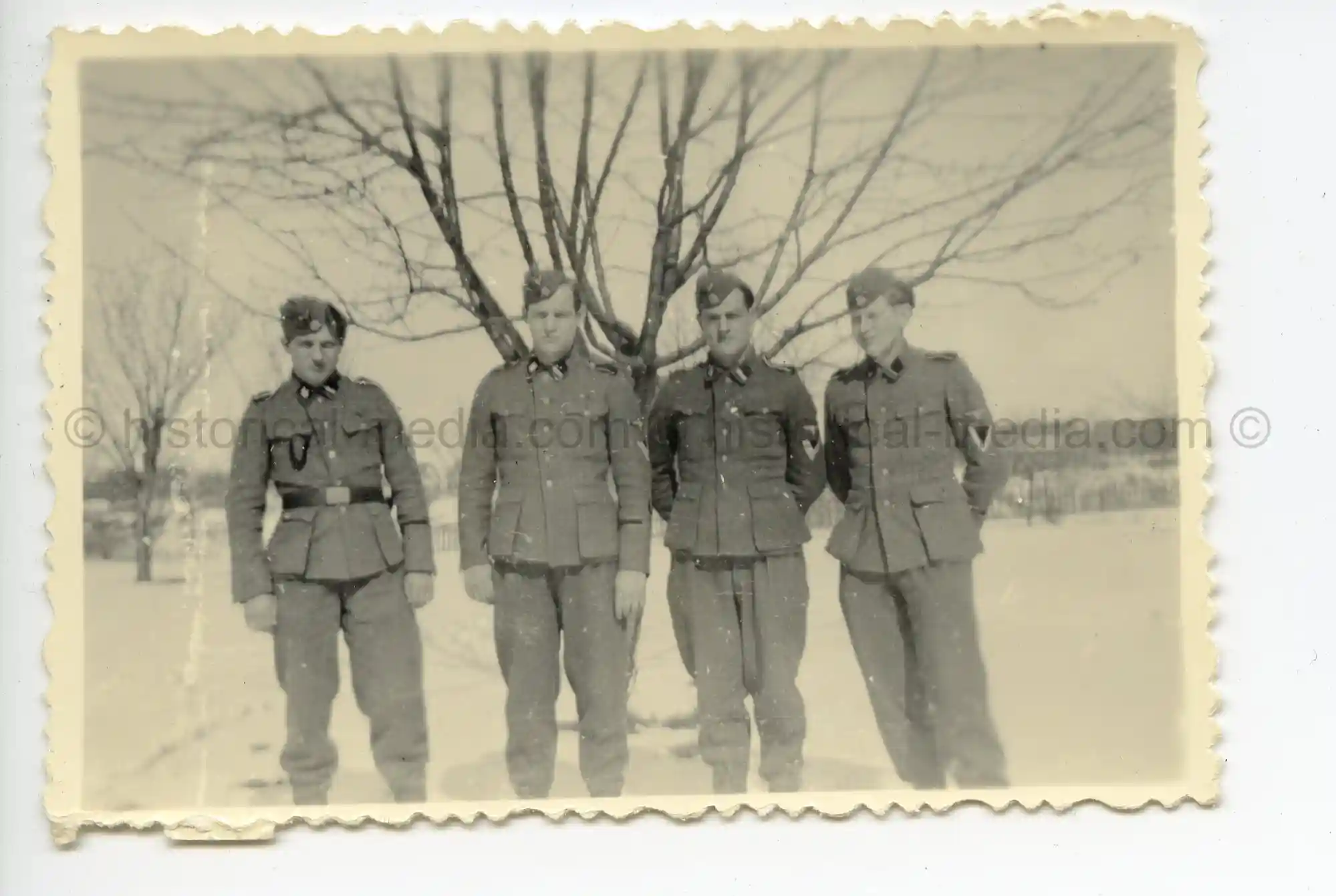 WAFFEN-SS PHOTO - WIKING GROUP PHOTO + CUFFTITLES