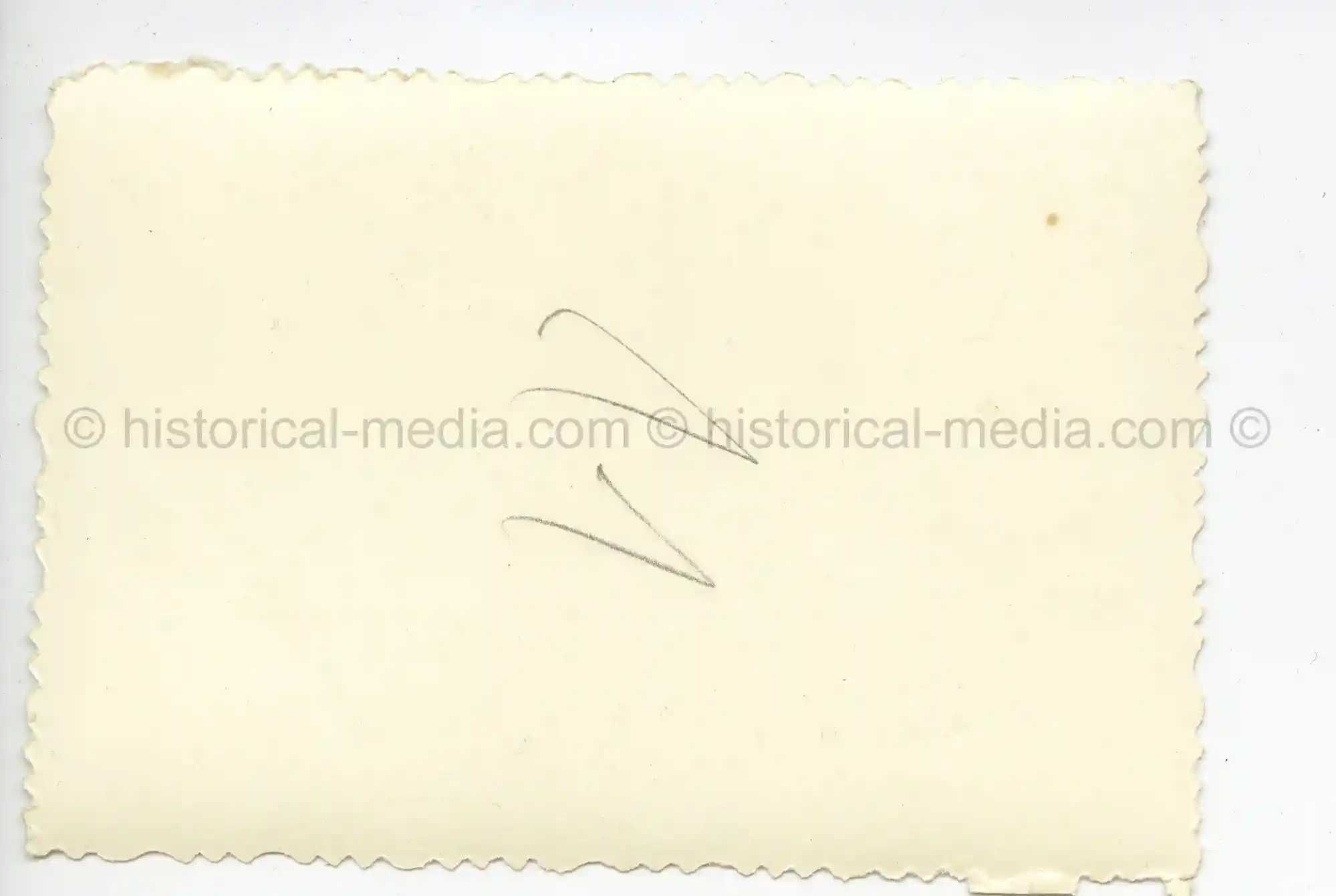 WAFFEN-SS PHOTO - WIKING GROUP PHOTO + CUFFTITLES