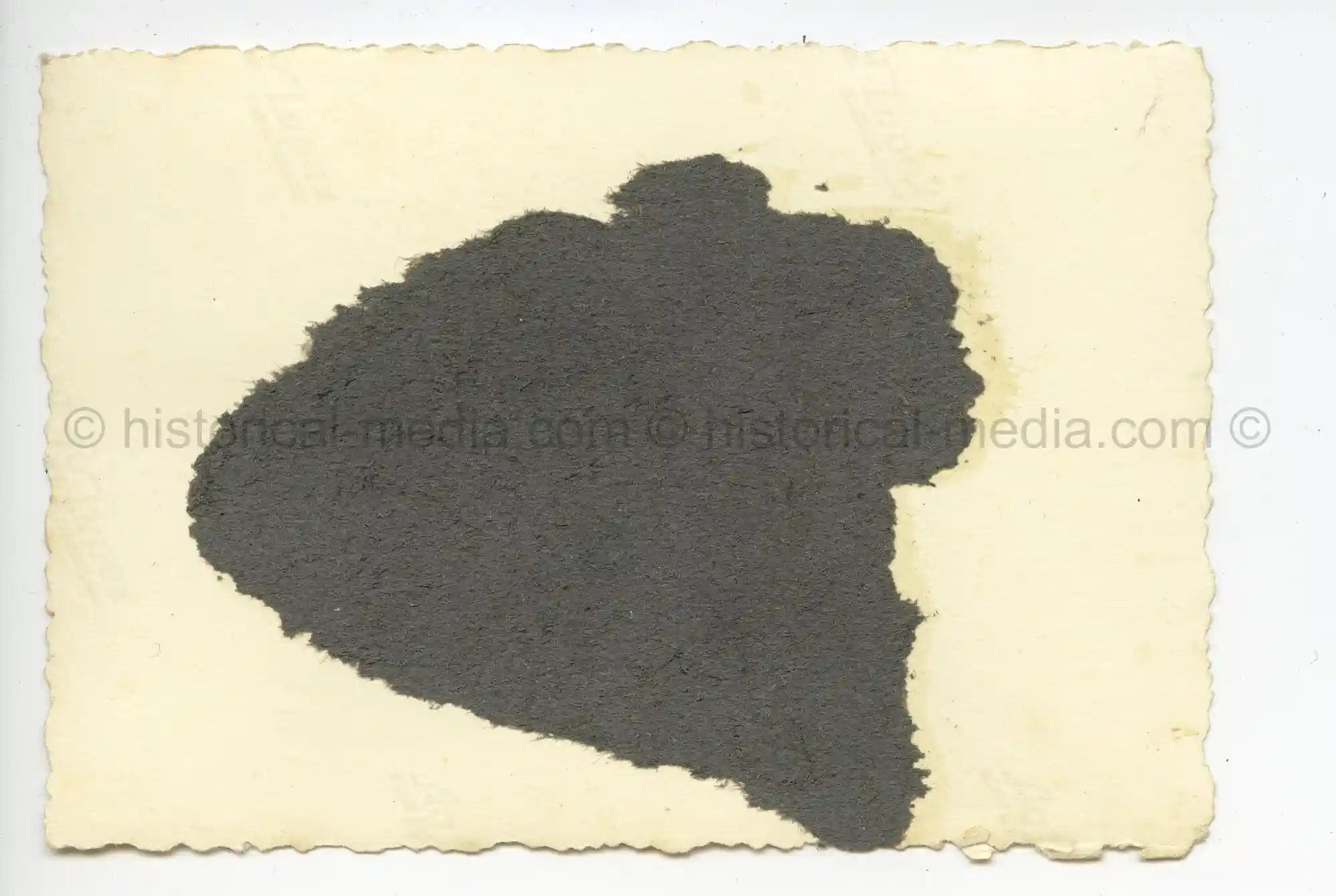 WAFFEN-SS PHOTO - WIKING GROUP PHOTO + GOOD HELMET DECAL DETAILS