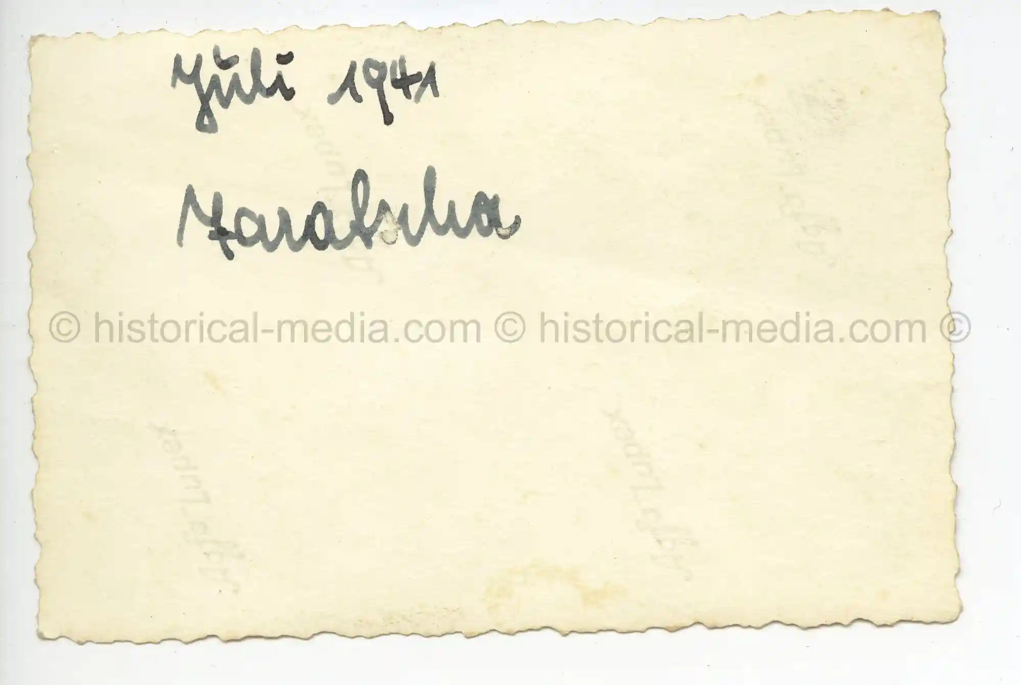 WAFFEN-SS PHOTO - WIKING TROOPS IN CAMO SMOCKS INSPECT RUSSIAN T-26 TANK * ARTILLERY