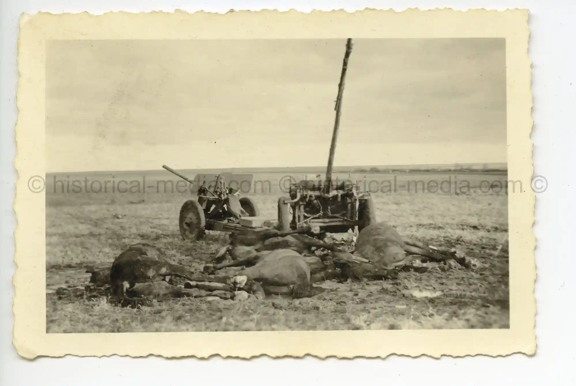 WAFFEN-SS PHOTO - WIKING UNIT PHOTOGRAPHS KIA RUSSIAN ARTILLERY CREW