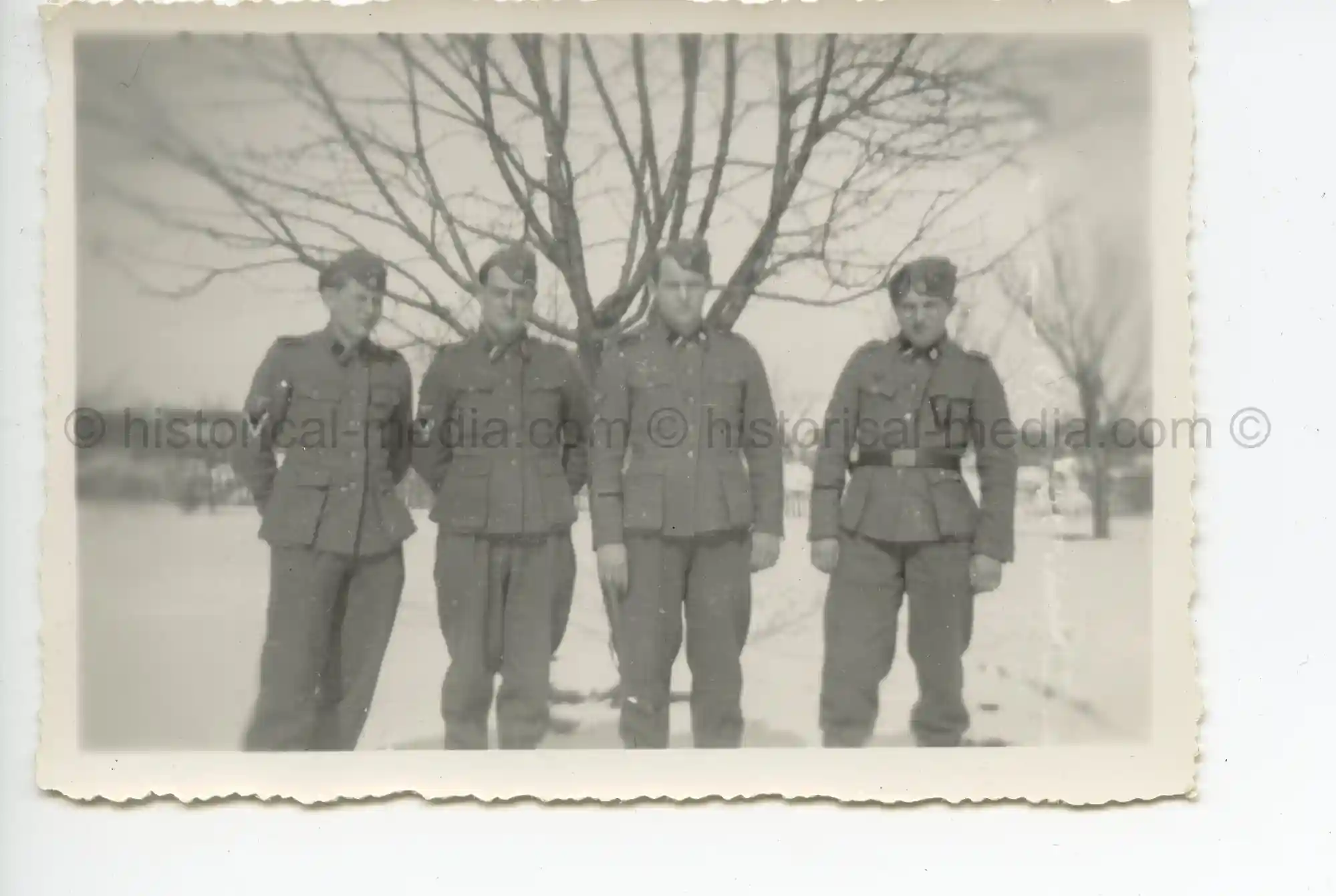 WAFFEN-SS PHOTO - WIKING GROUP PHOTO + CUFFTITLES