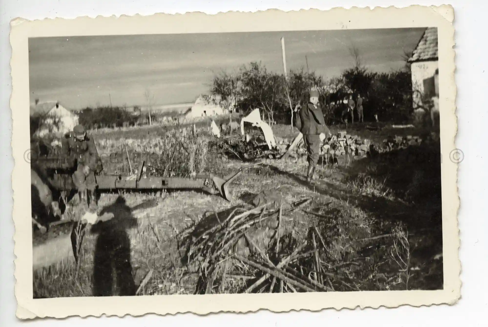 WAFFEN-SS PHOTO - WIKING ARTILLERY POSITION IN RUSSIA