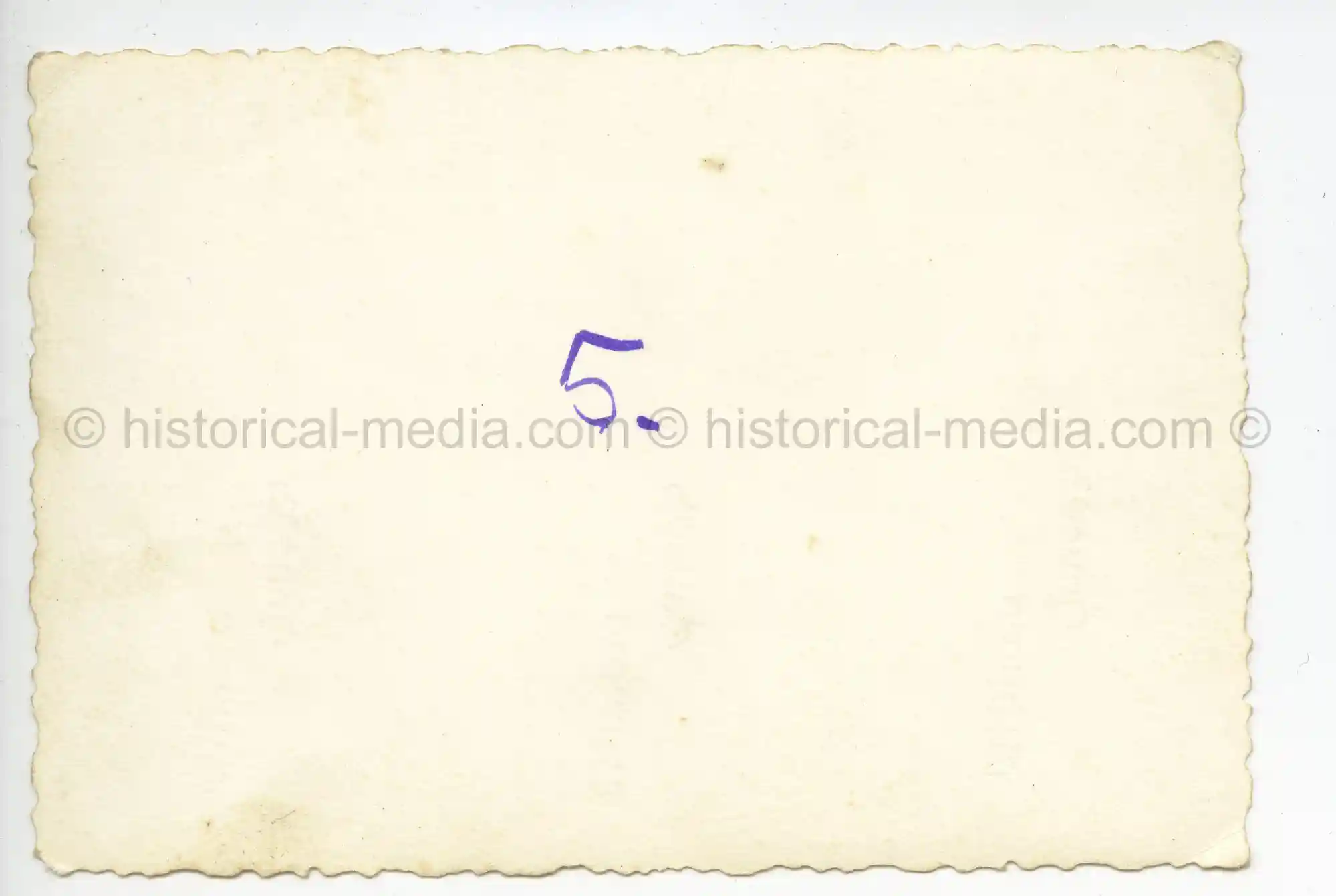 WAFFEN-SS PHOTO - WIKING ARTILLERY POSITION IN RUSSIA