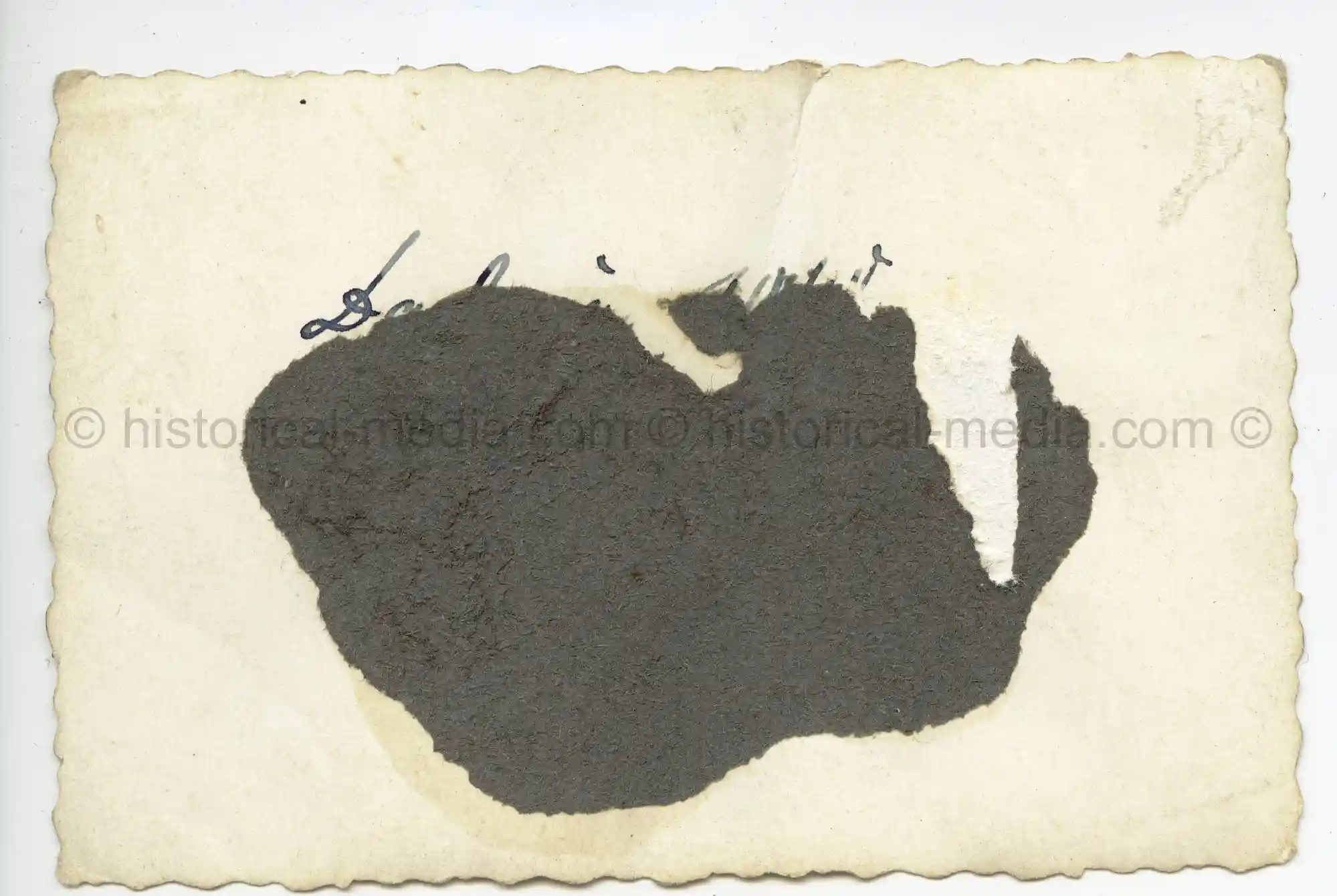 WAFFEN-SS PHOTO - WIKING GROUP PHOTO