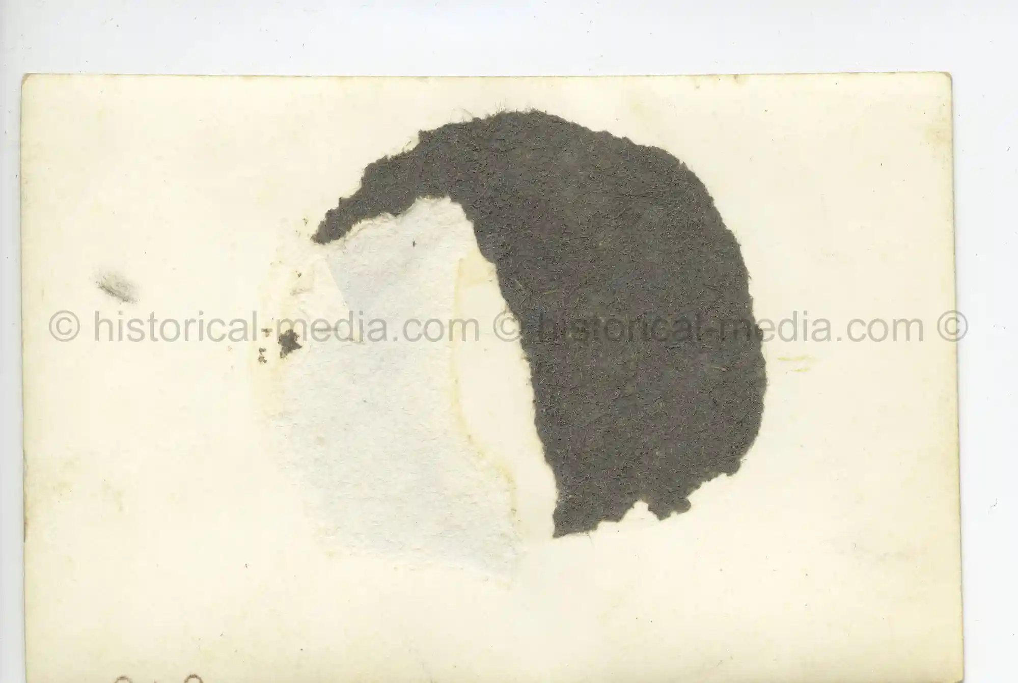 WAFFEN-SS PHOTO - SOLDIERS PASS FRENCH TANK