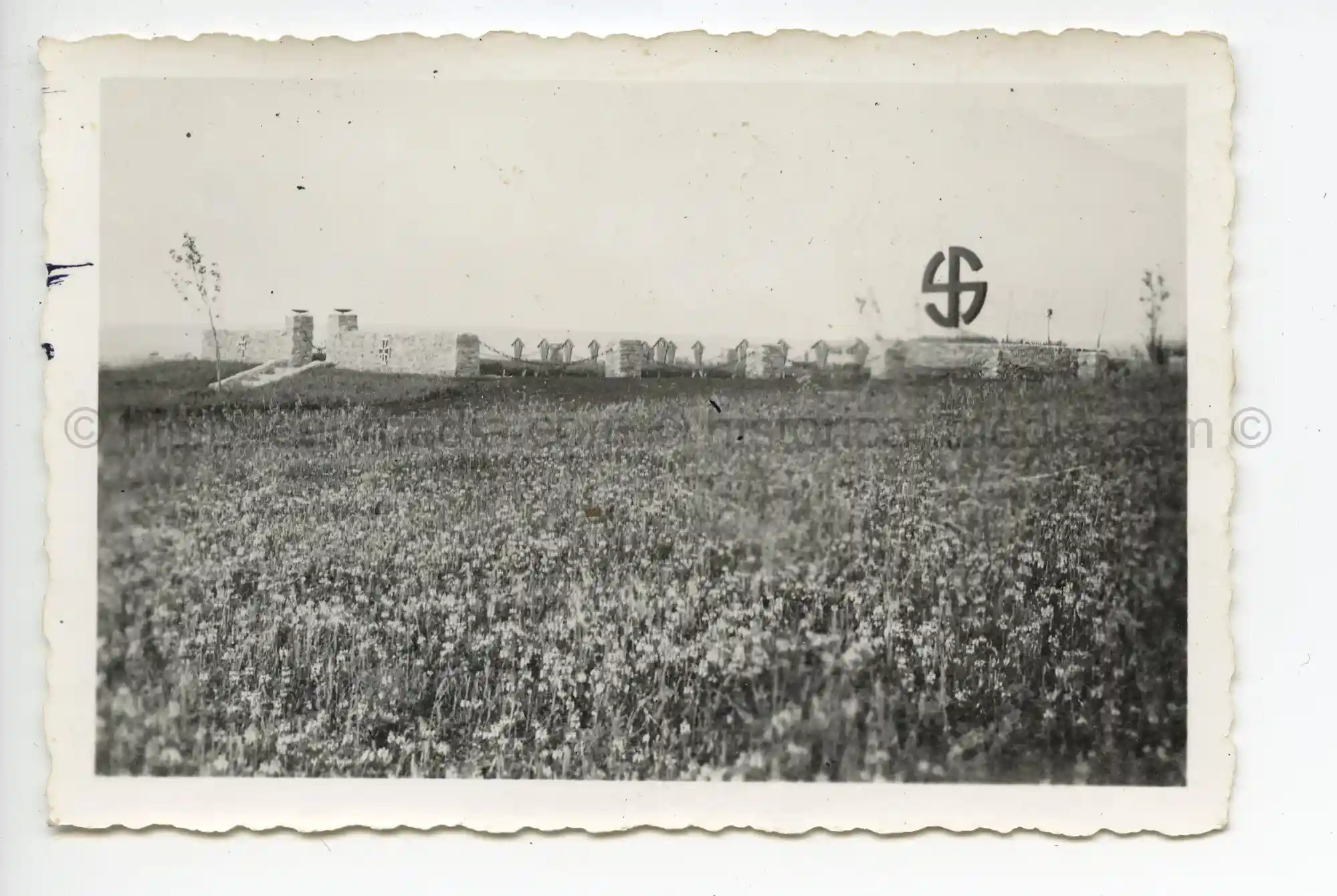 WAFFEN-SS PHOTO - WIKING CEMETERY IN THE FIELD