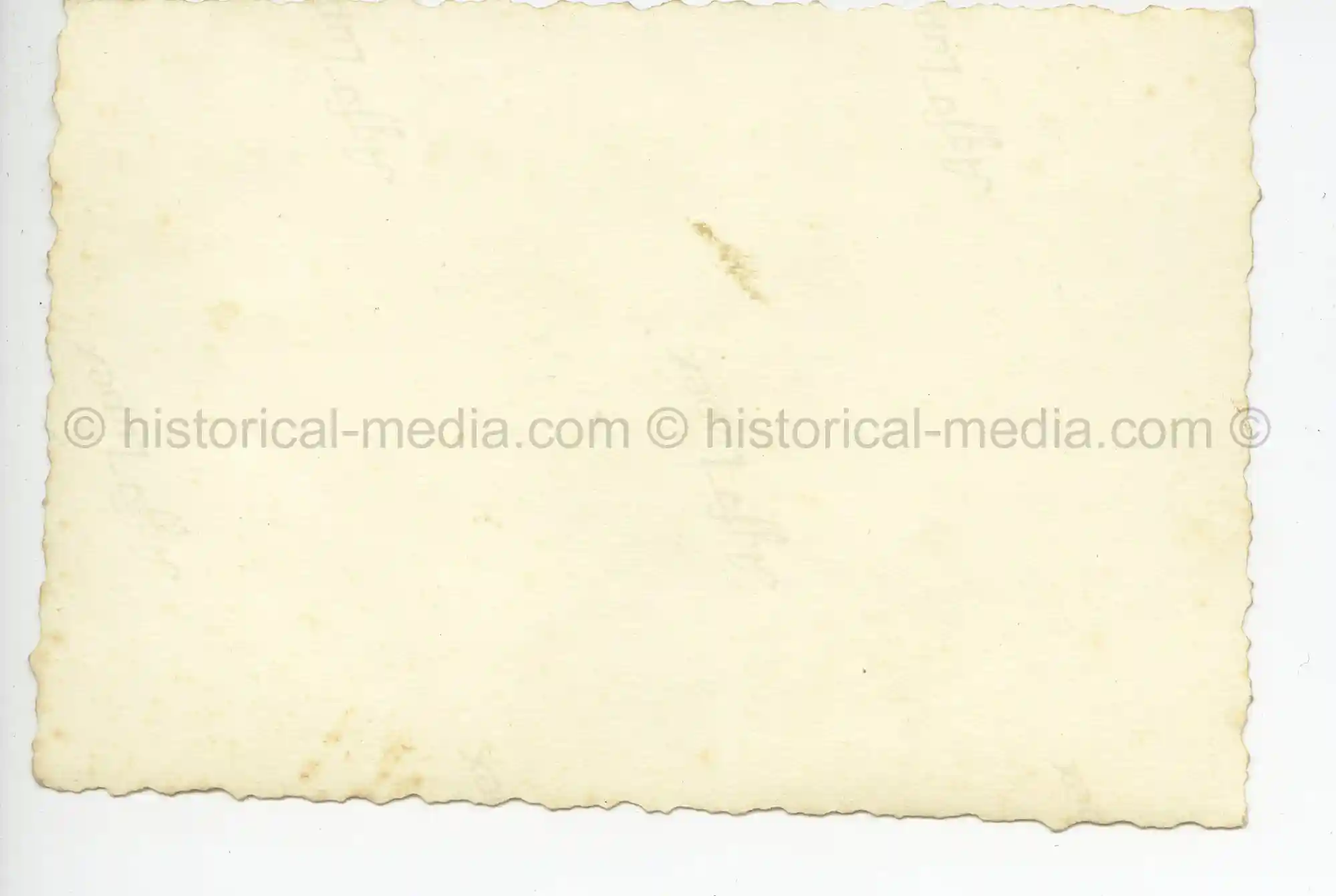 WAFFEN-SS PHOTO - WIKING CEMETERY IN THE FIELD