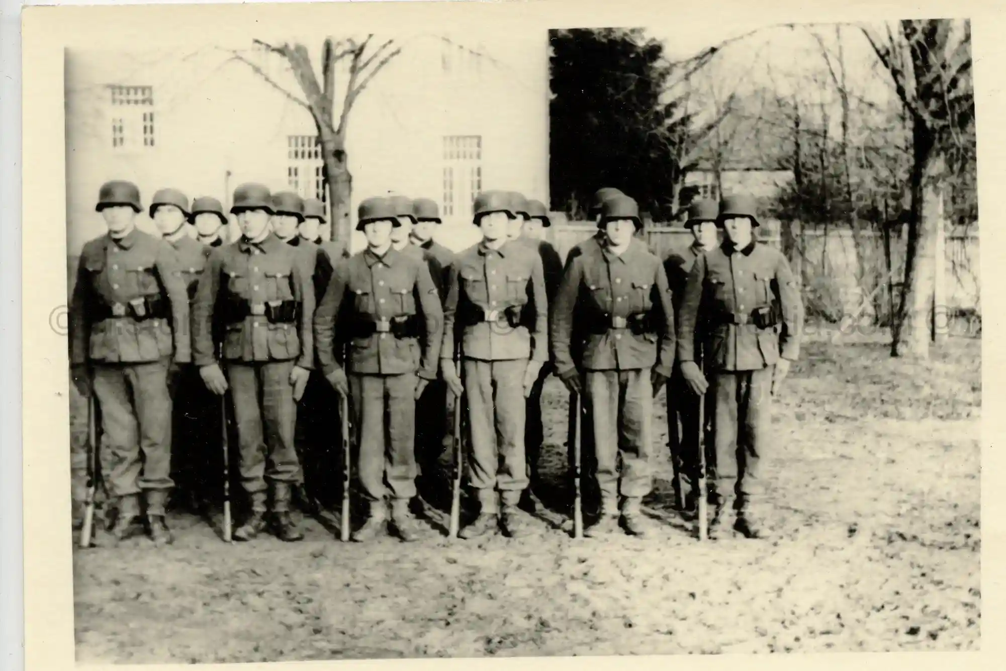 WAFFEN-SS PHOTO - WIKING GROUP PHOTO