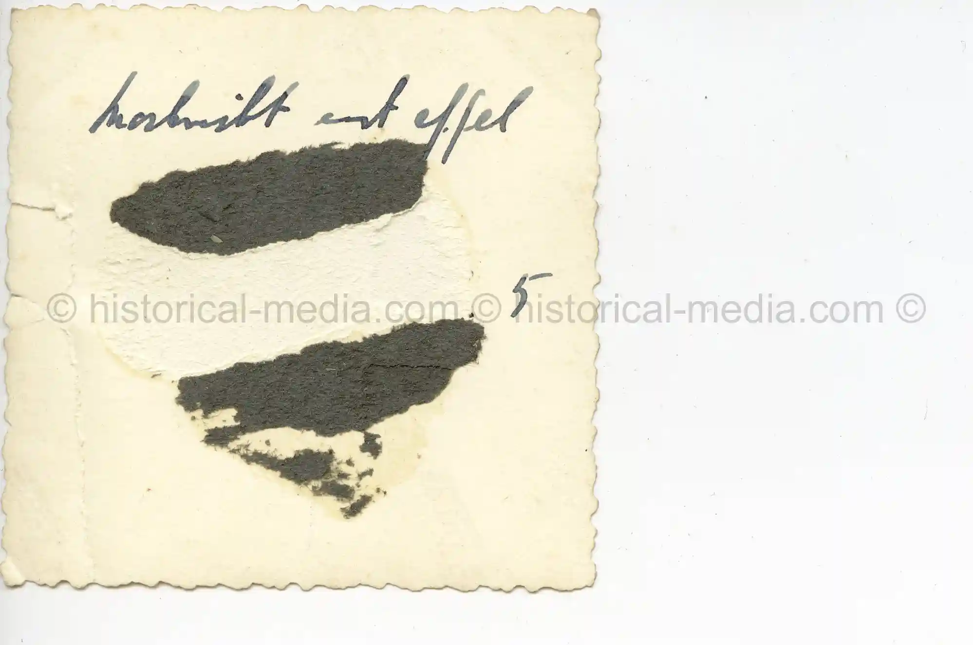 WAFFEN-SS PHOTO - WIKING SOLDIERS + CAMO SMOCKS IN WEAR IN THE FIELD