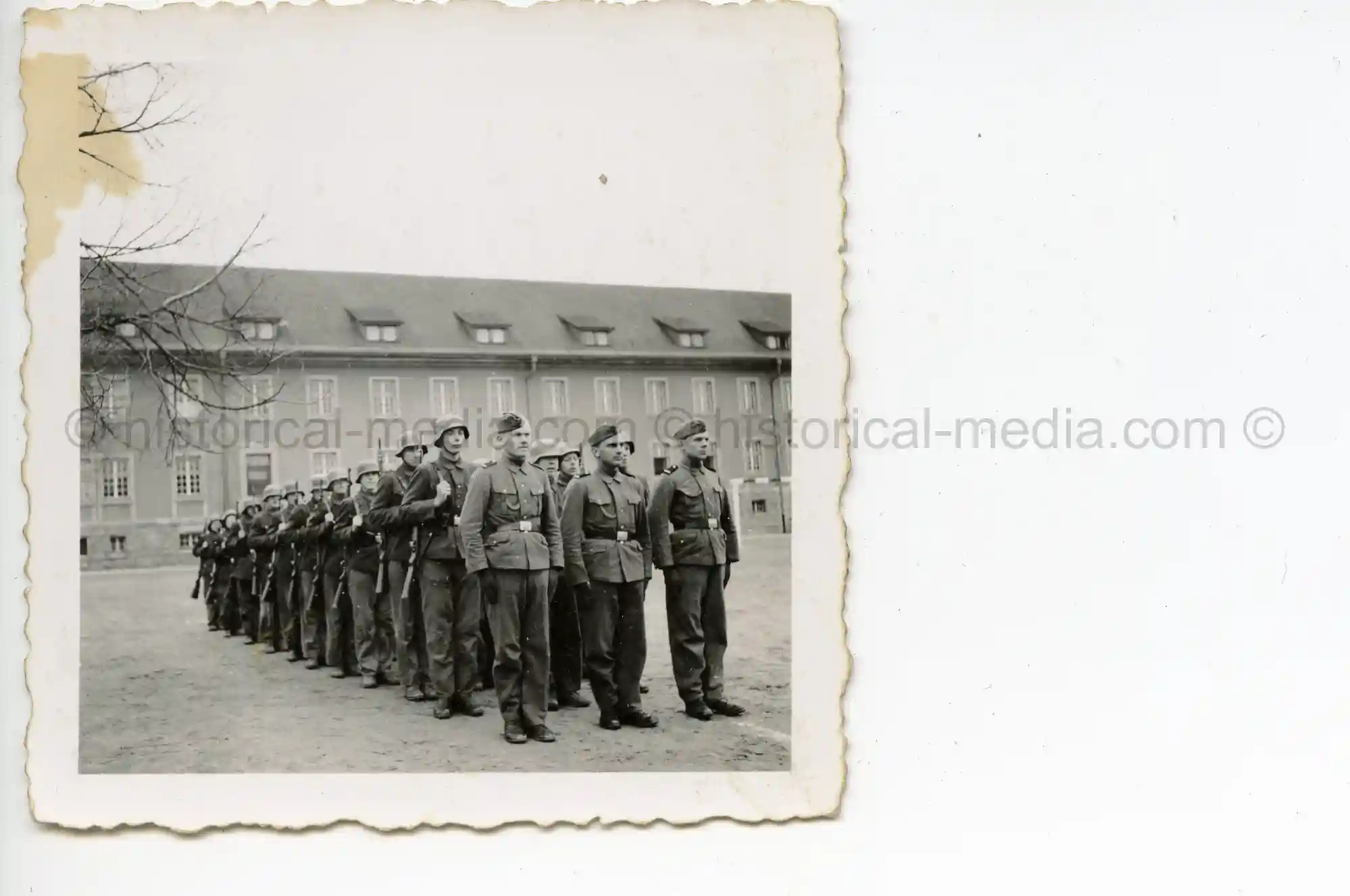 WAFFEN-SS PHOTO - WIKING GROUP PHOTO