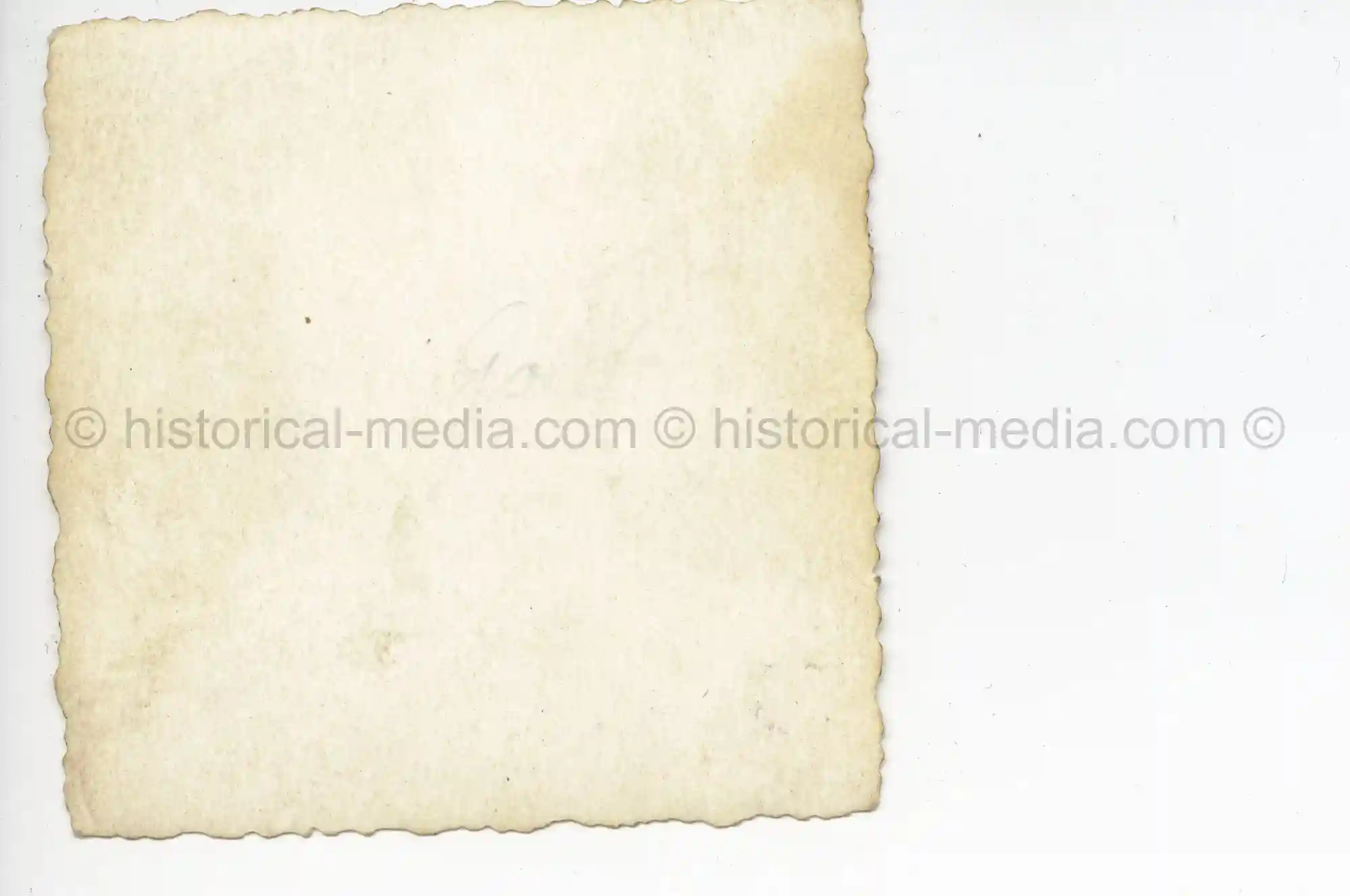 WAFFEN-SS PHOTO - WIKING GROUP PHOTO