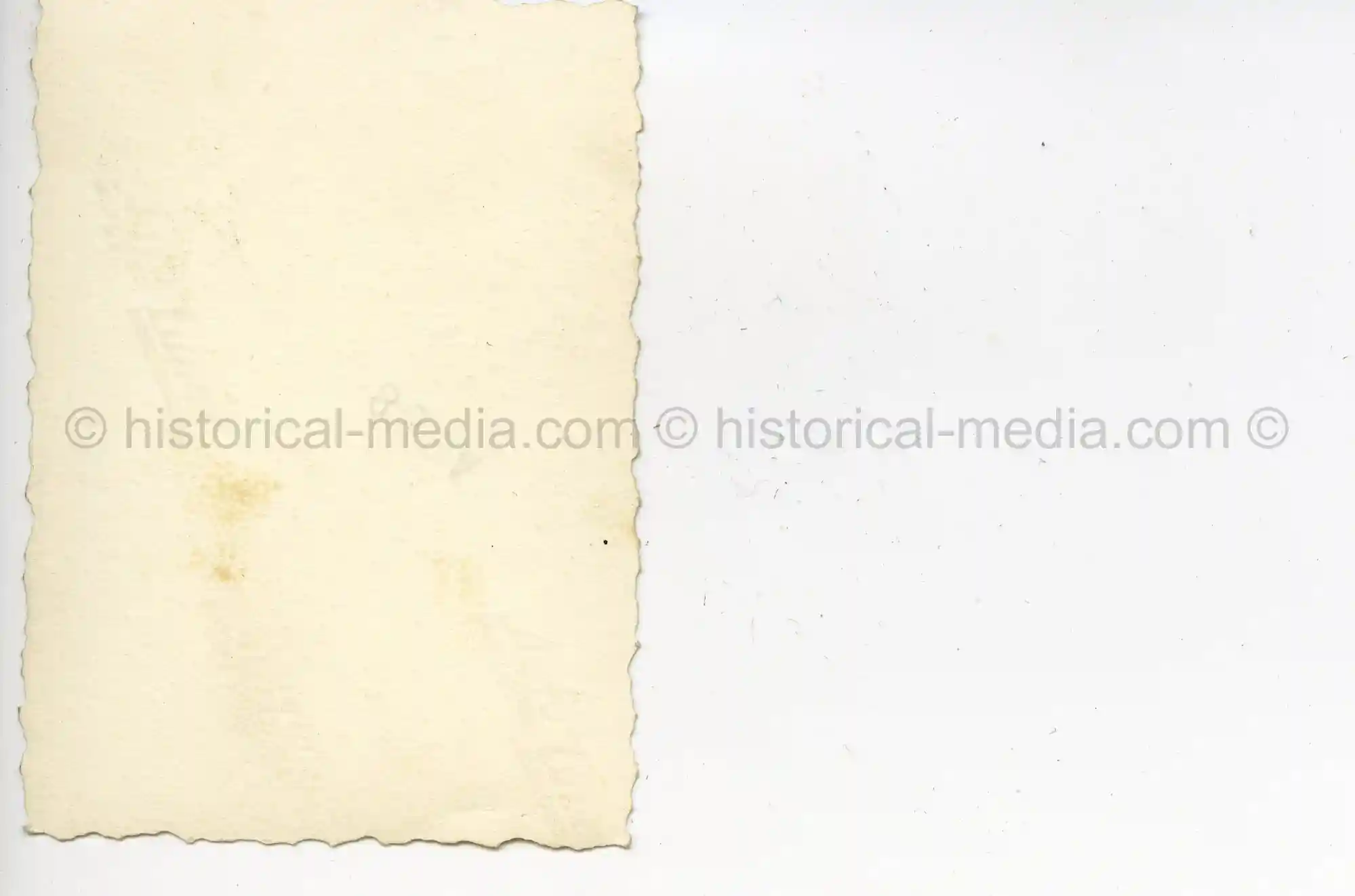 WAFFEN-SS PHOTO - WIKING OFFICER AND WIFE POSE